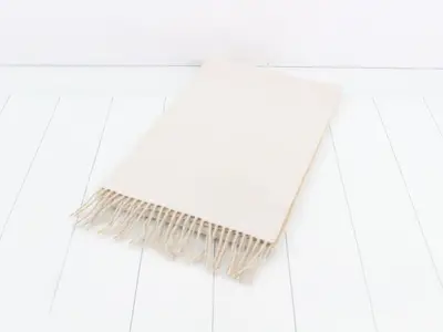 muffler