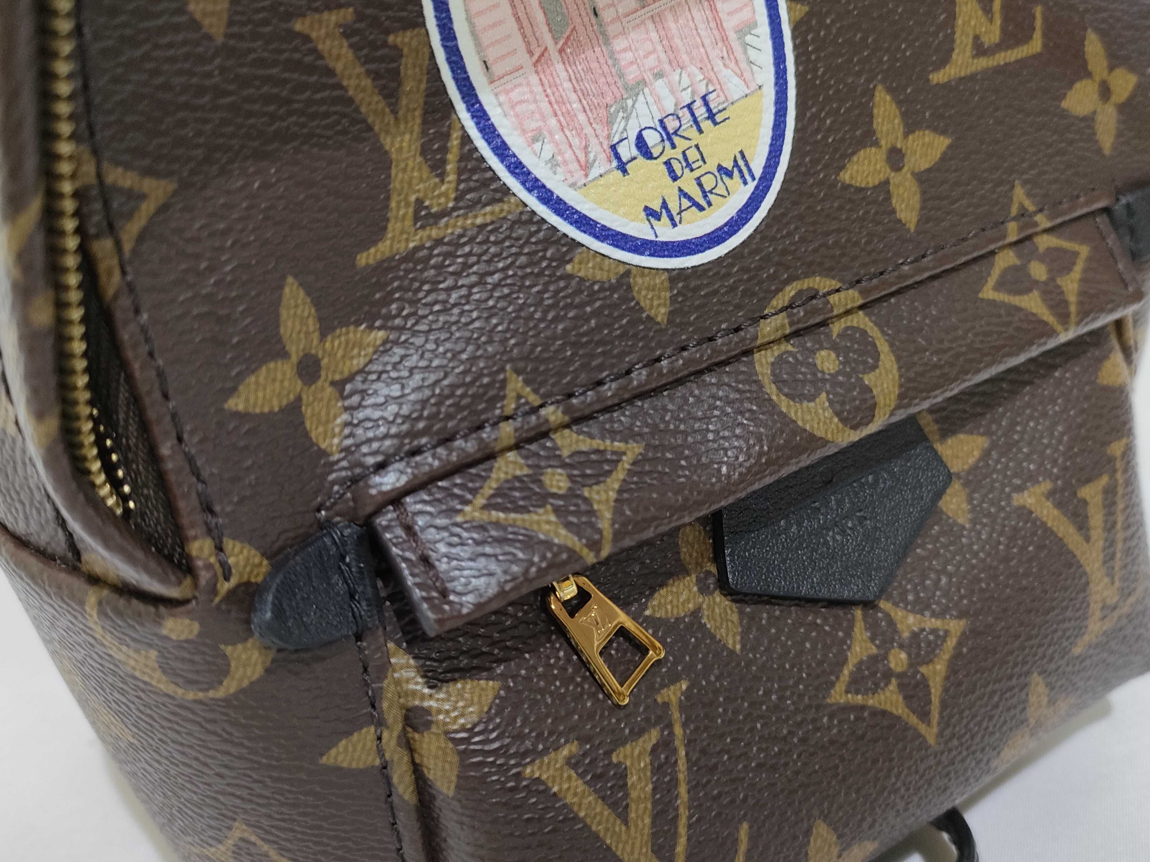 Monogram LV Palm Springs Backpack Mini Monogram M44873 Backpack — view 15