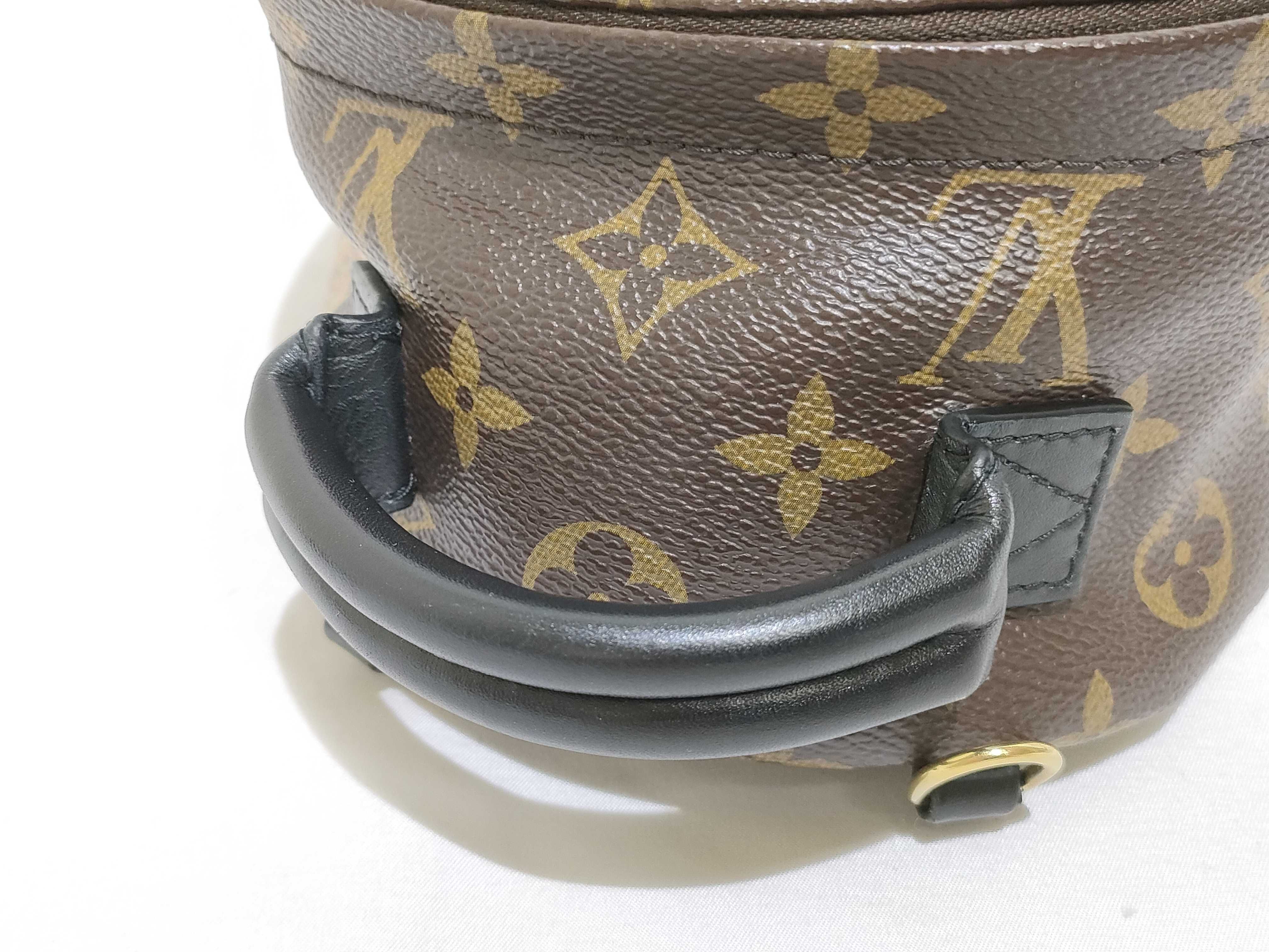 Monogram LV Palm Springs Backpack Mini Monogram M44873 Backpack — view 3