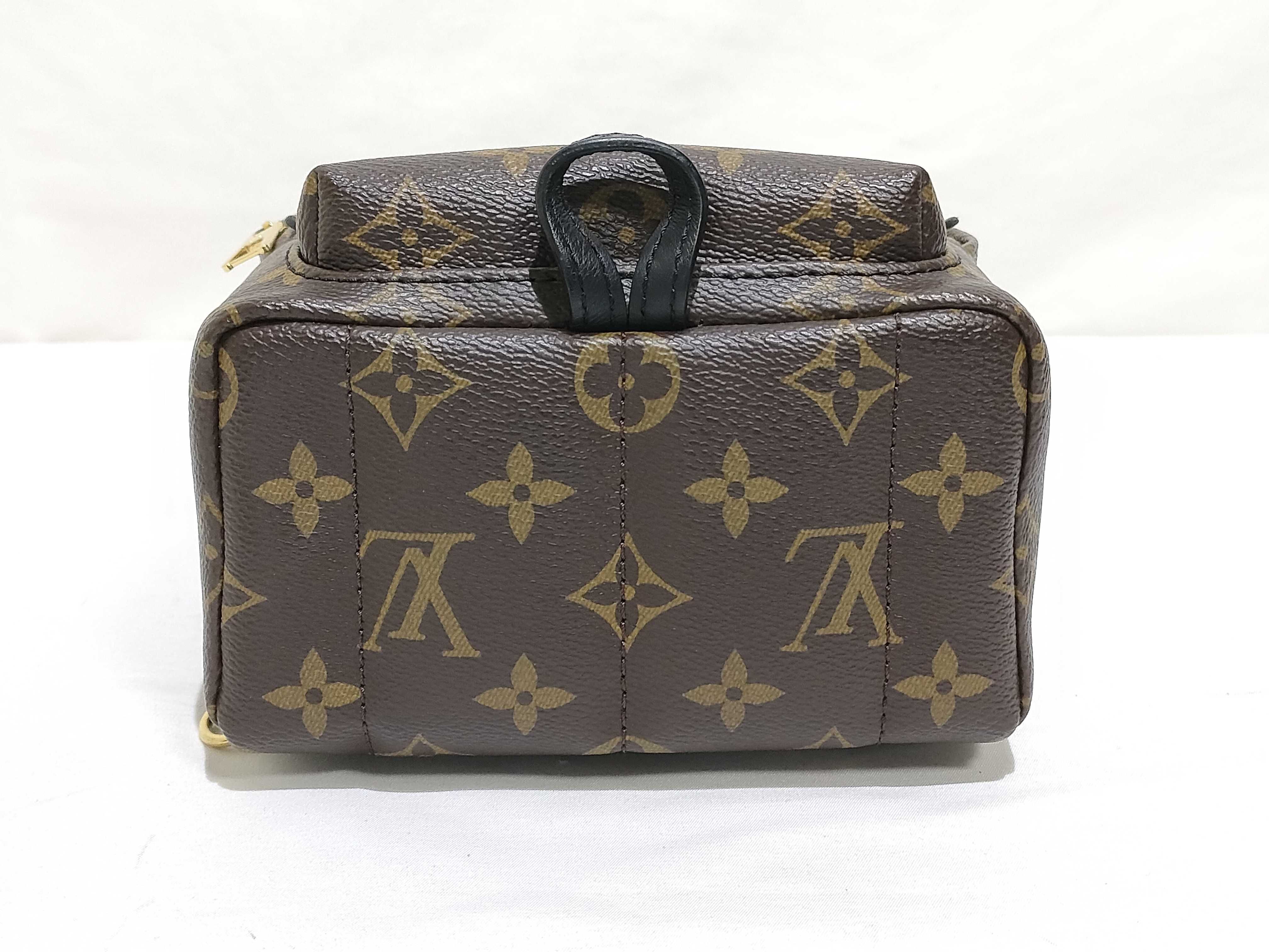 Monogram LV Palm Springs Backpack Mini Monogram M44873 Backpack — view 7