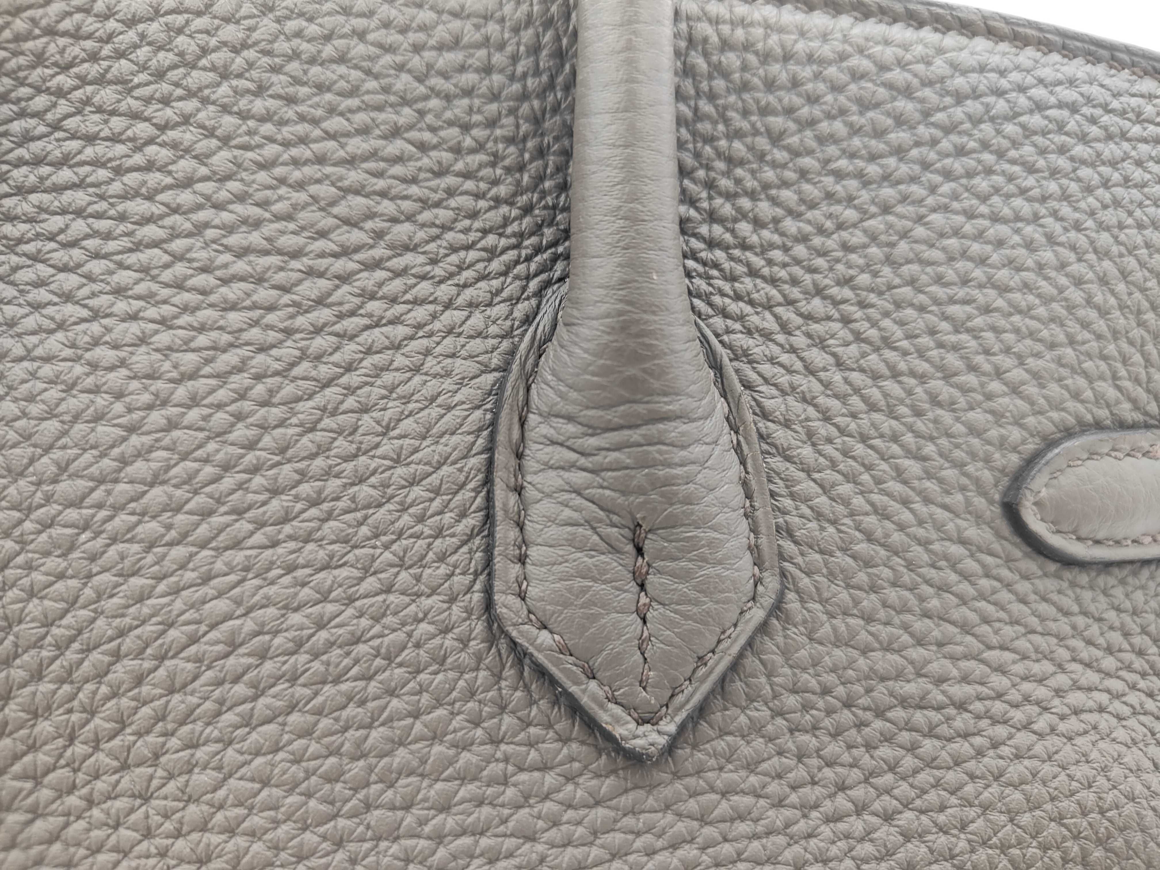 Birkin 25 Togo Leather, Y Stamp (Manufactured in 2020), Etoupe Leather x Silver Hardware, Handbag — view 5