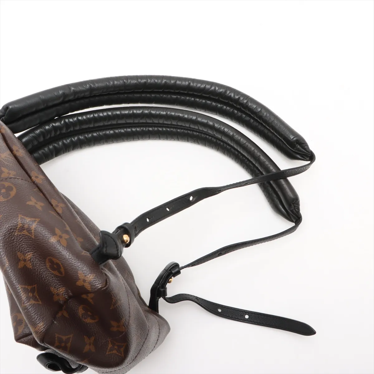 Monogram Palm Springs Backpack PM M41560 FL0220 Brown — view 6