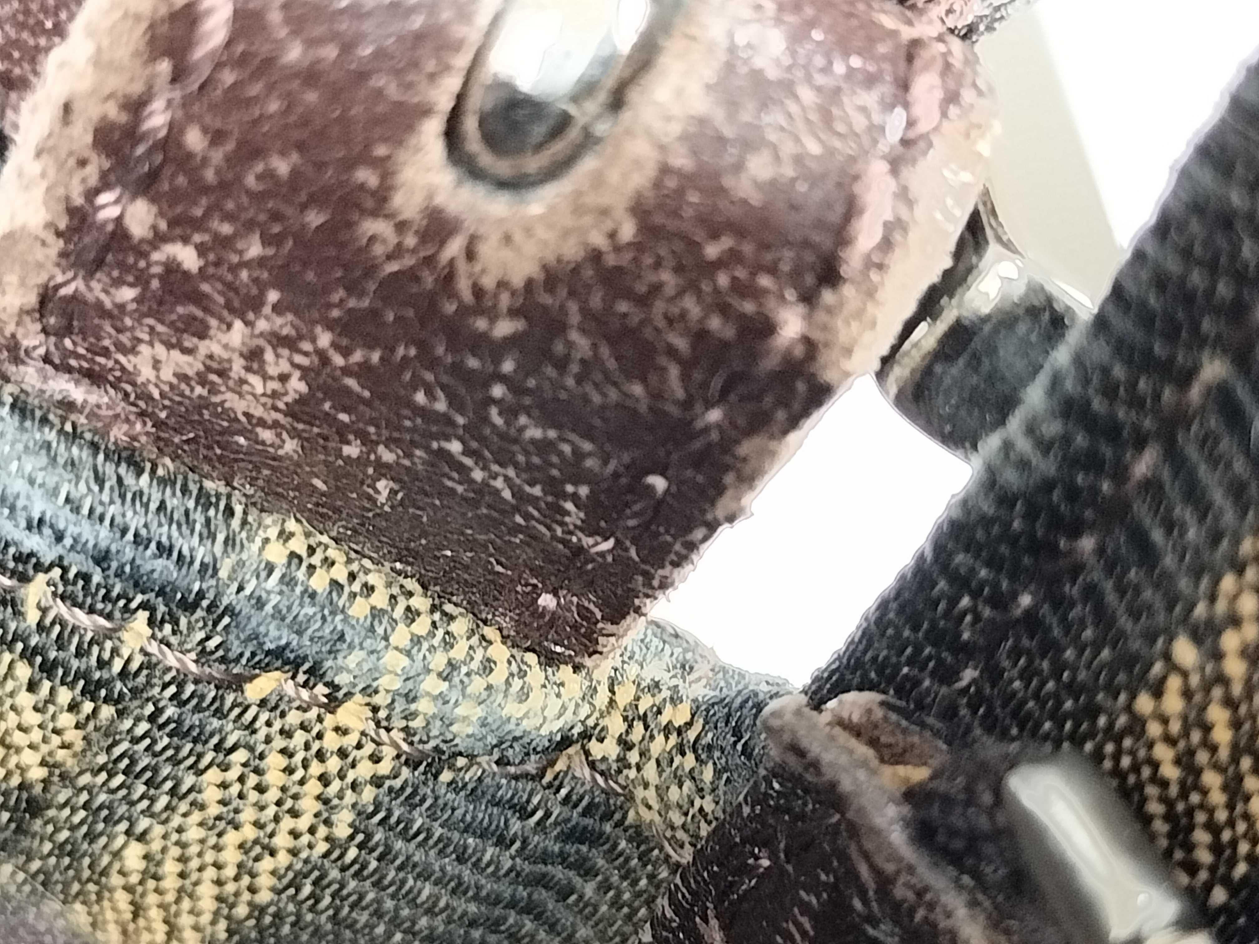 Zucca pattern semi-shoulder bag — view 9