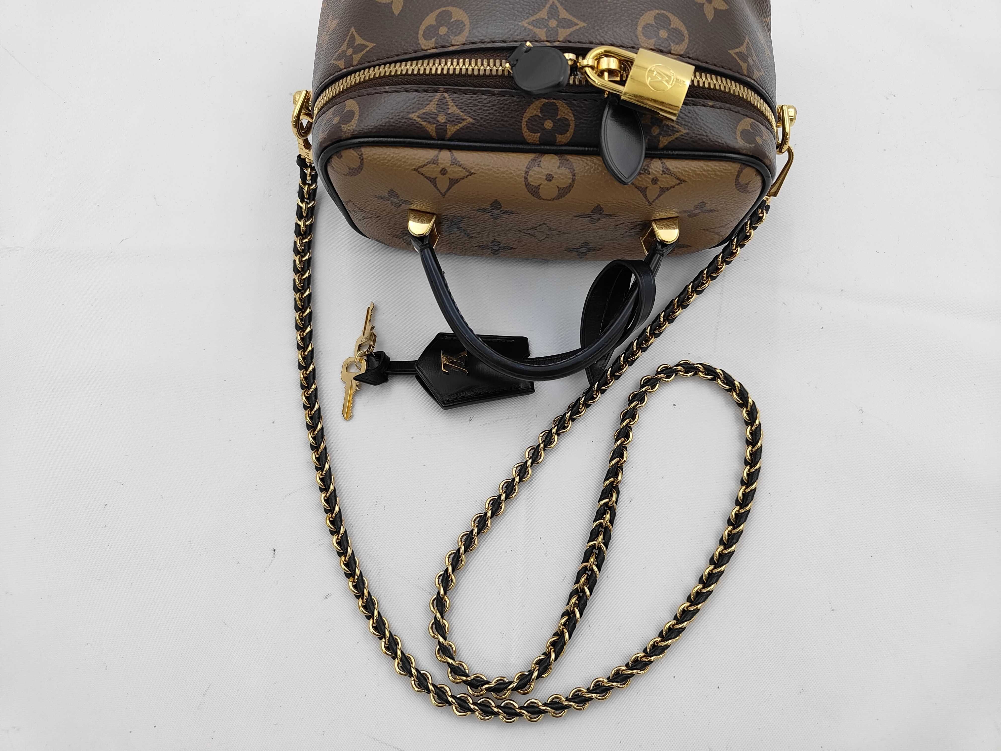 Reverse Vanity NVPM M45165 Vanity Bag — view 3
