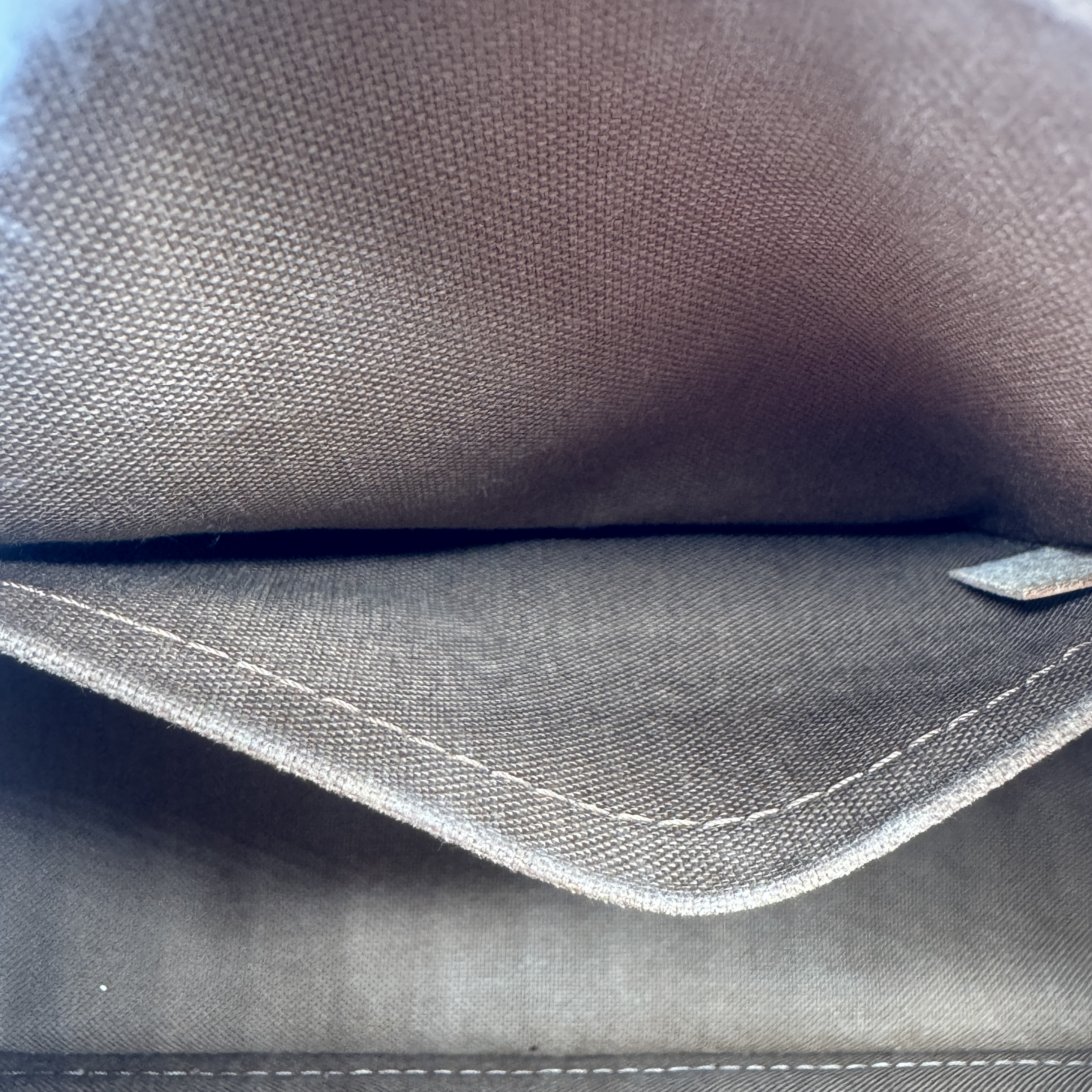 Monogram Alma PM Shoulder Bag — view 15