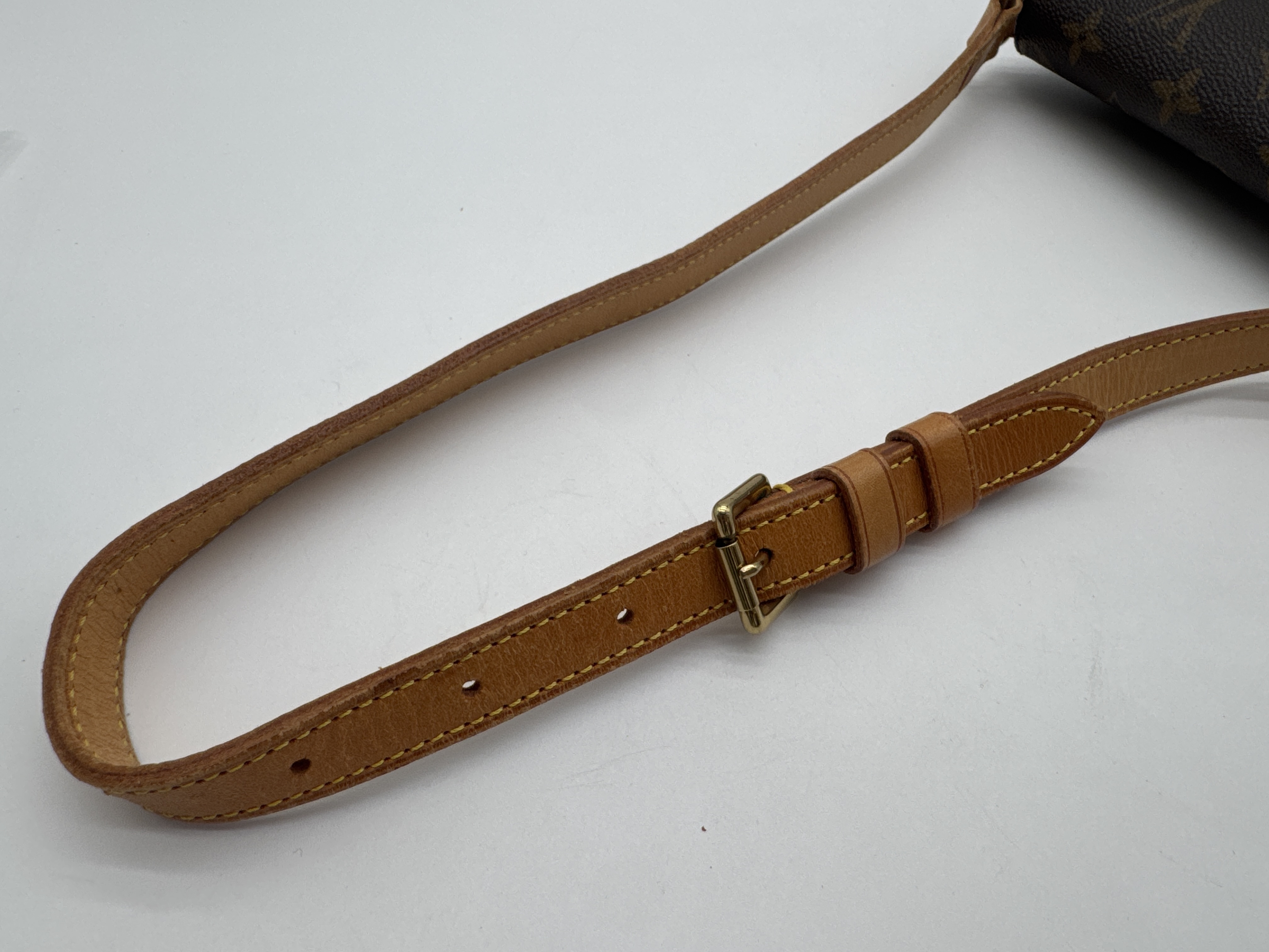 Musette Salsa Short Monogram Shoulder Bag — view 9