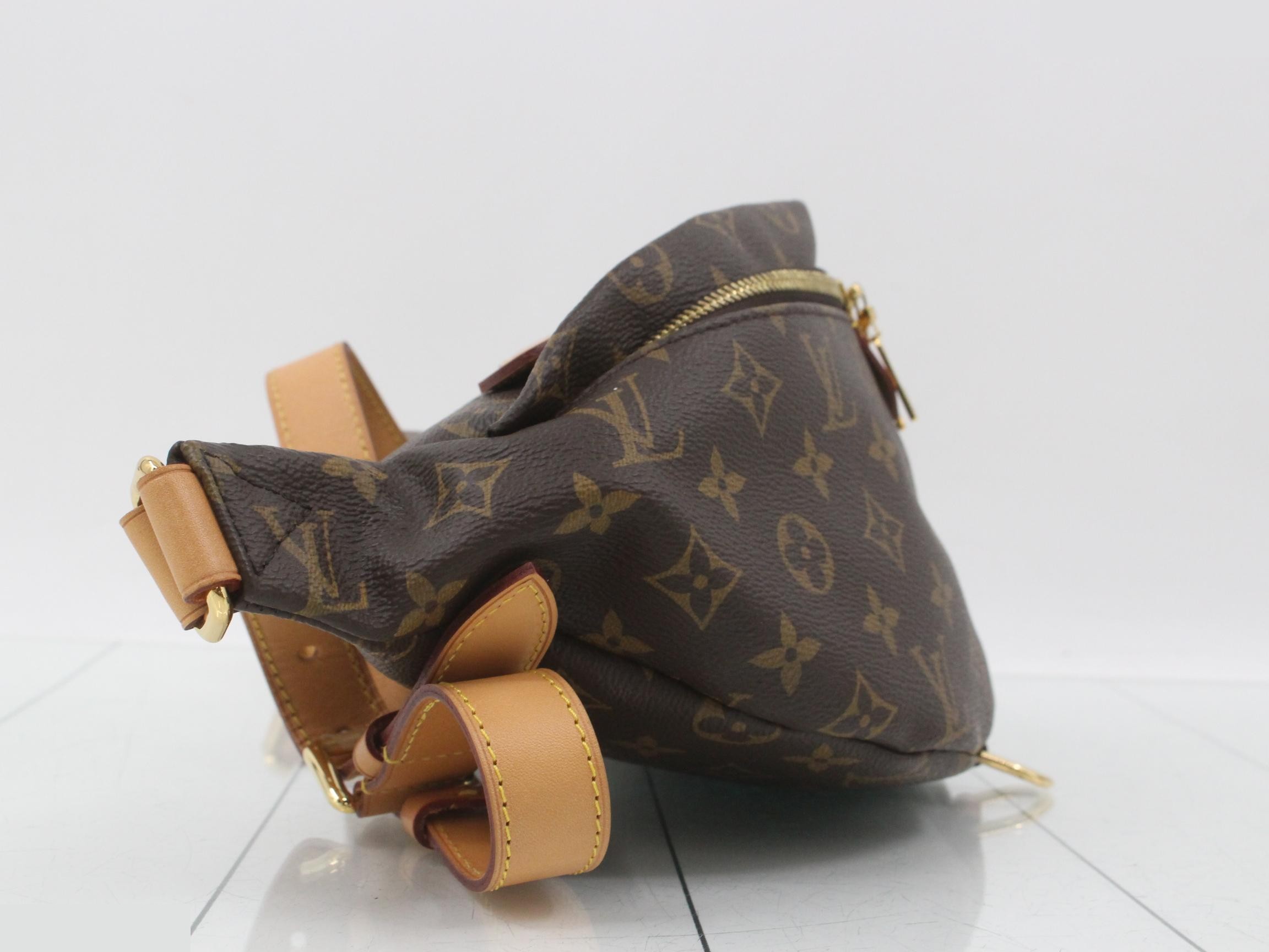 Monogram Bum Bag Waist Bag — view 4