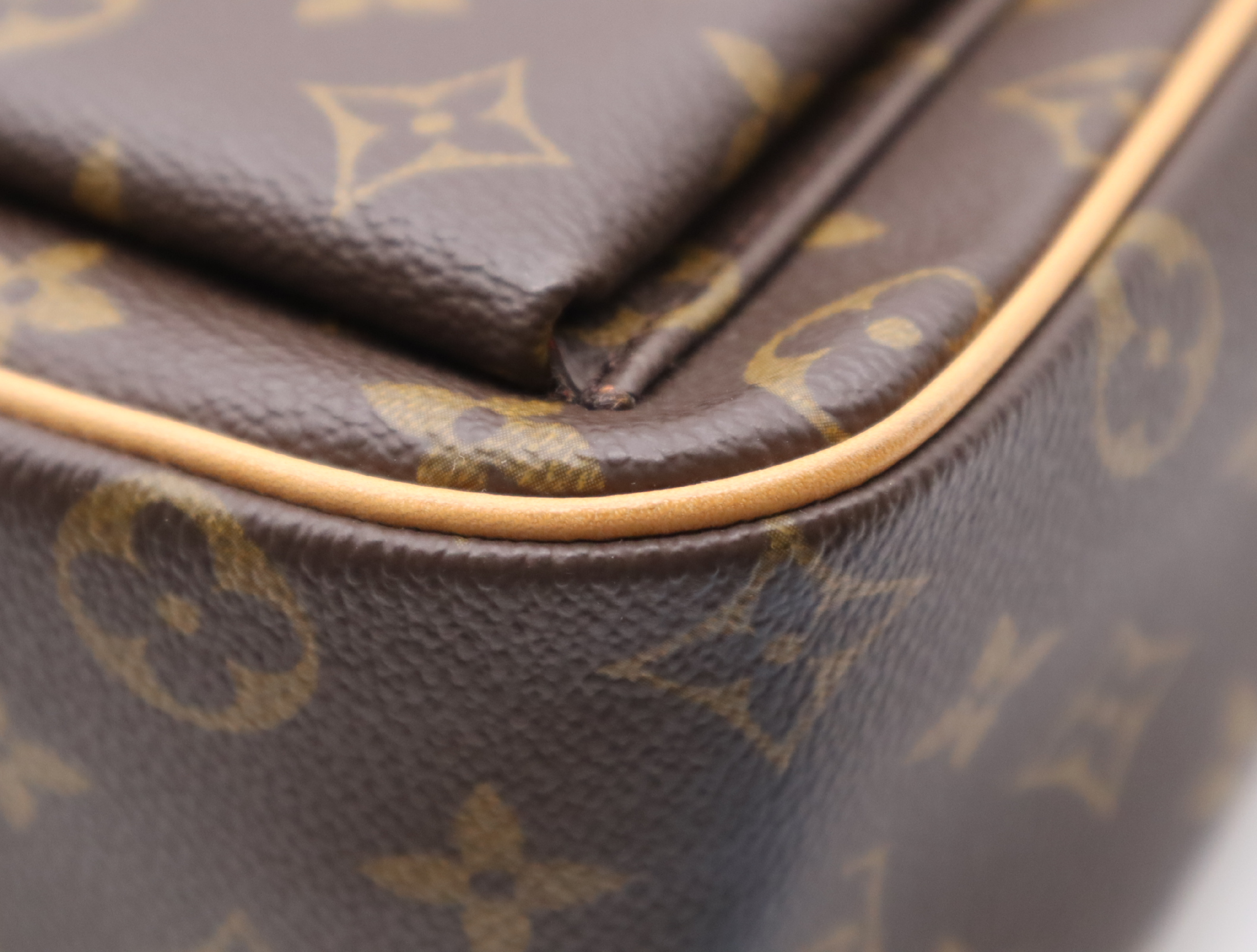 M51163 Monogram Viva Cite GM Handbag — view 7