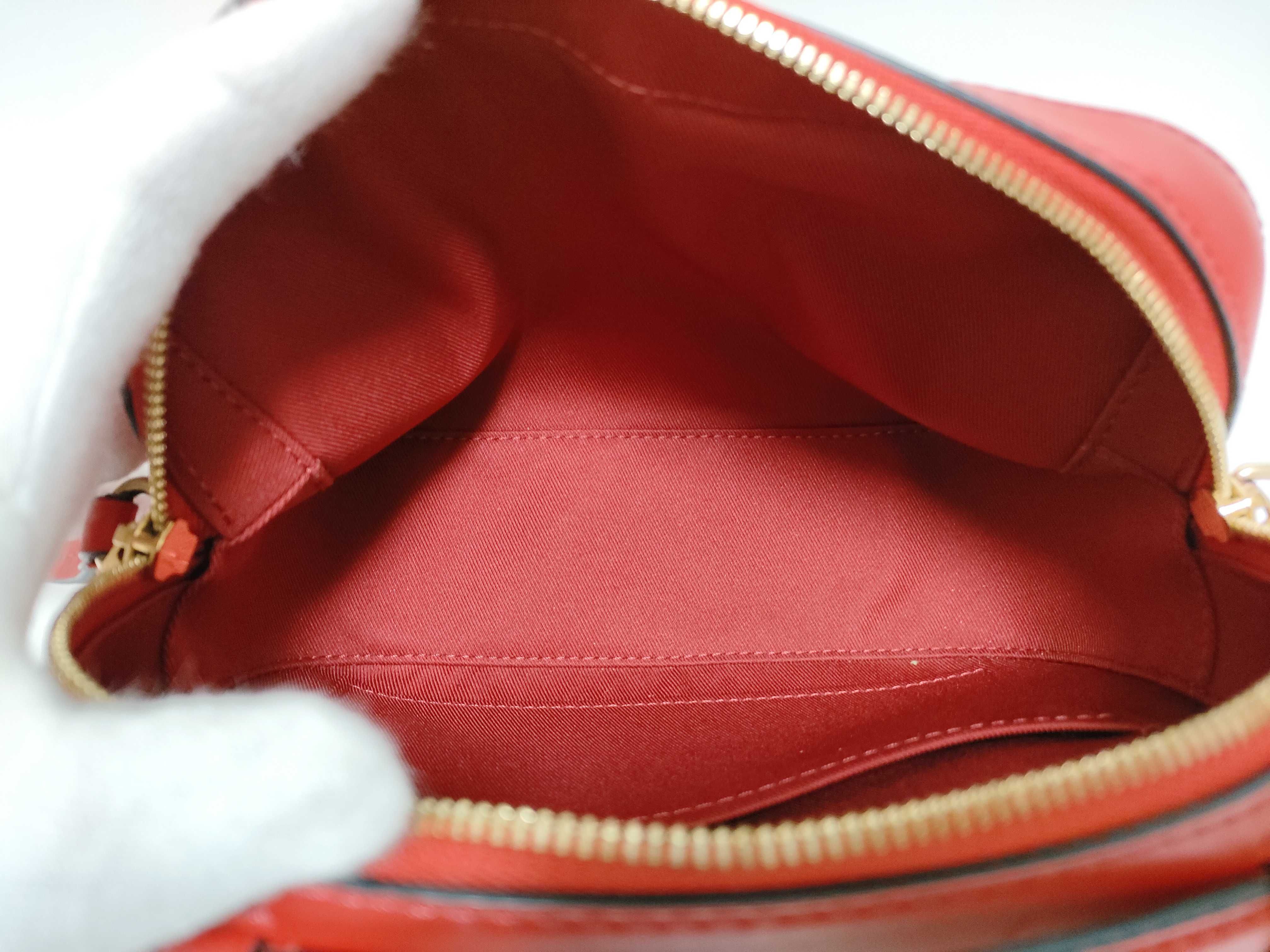 Monogram Coquelicot Red Monogram Saint-Onge Shoulder Bag — view 11