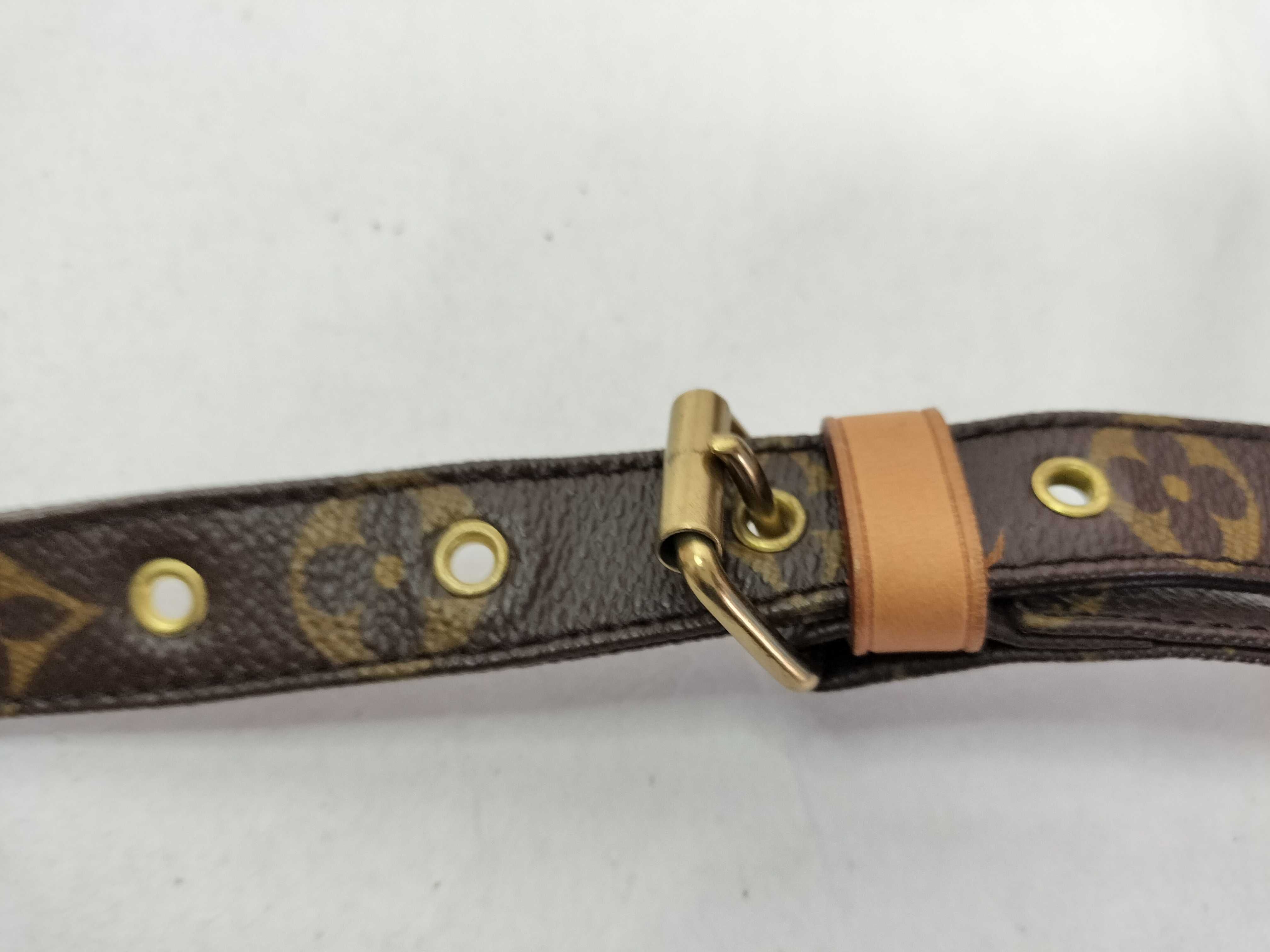 Monogram Nile M45244 AR0015 Brown Shoulder Bag — view 7