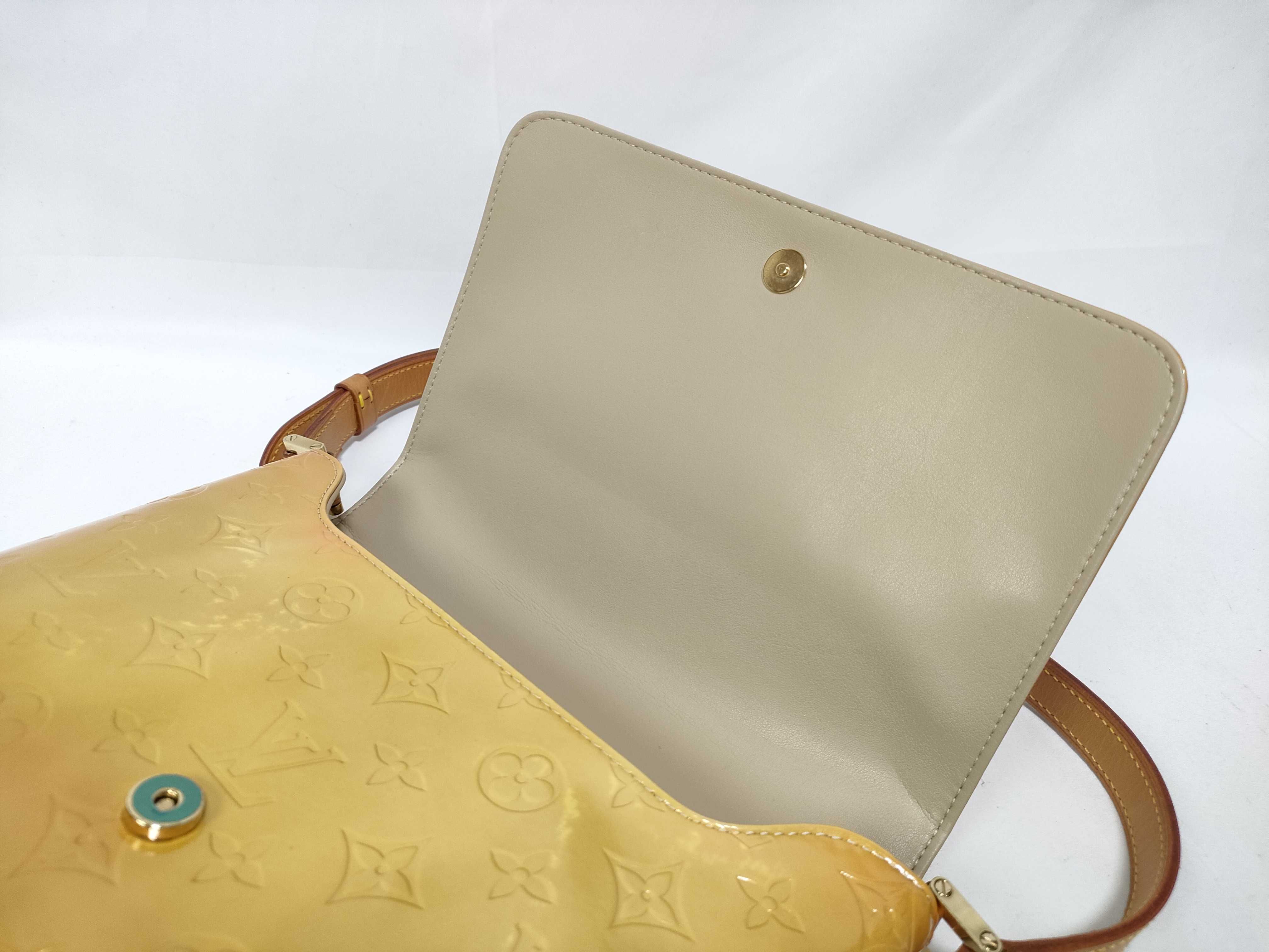 Vernis Thompson Street M91123 Accessories: Dust bag, Shoulder bag — view 11