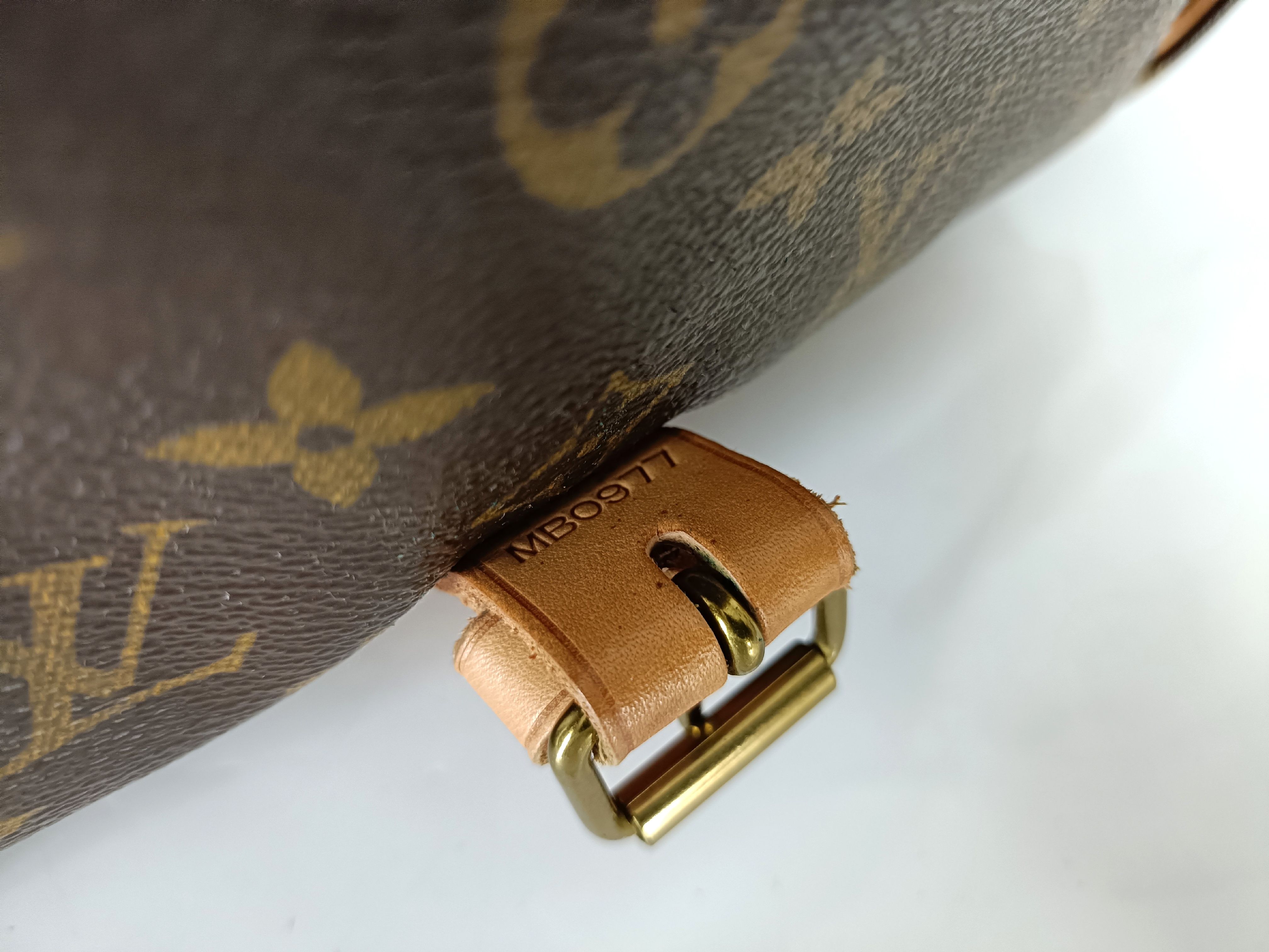 Monogram Saumur 35 Shoulder Bag — view 6