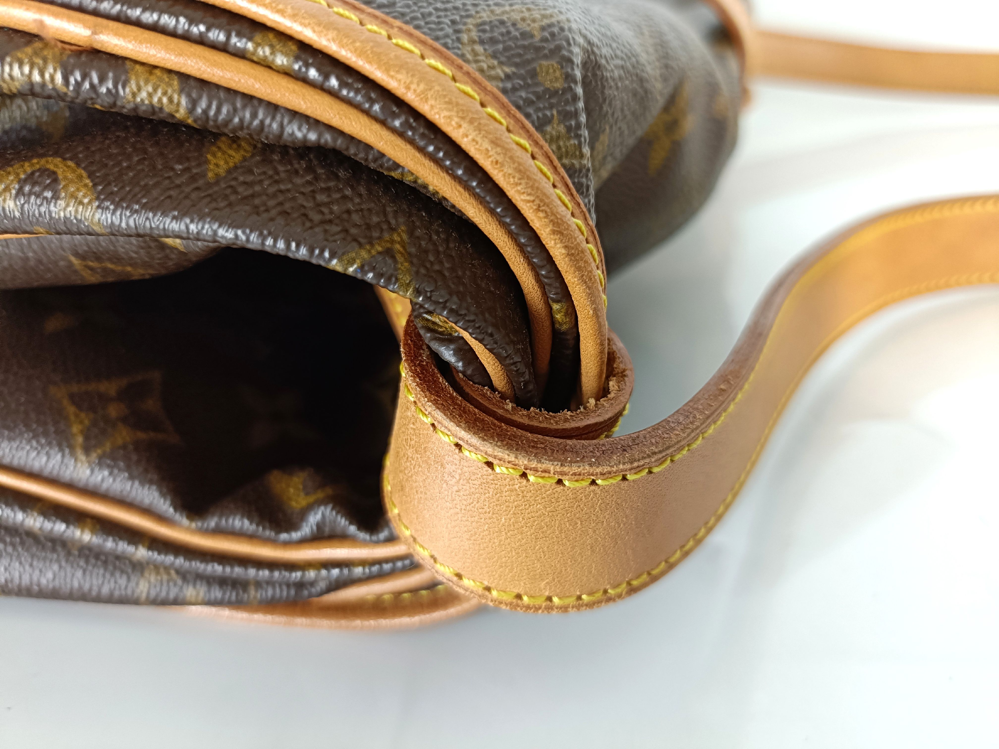 Monogram Saumur 35 Shoulder Bag — view 9