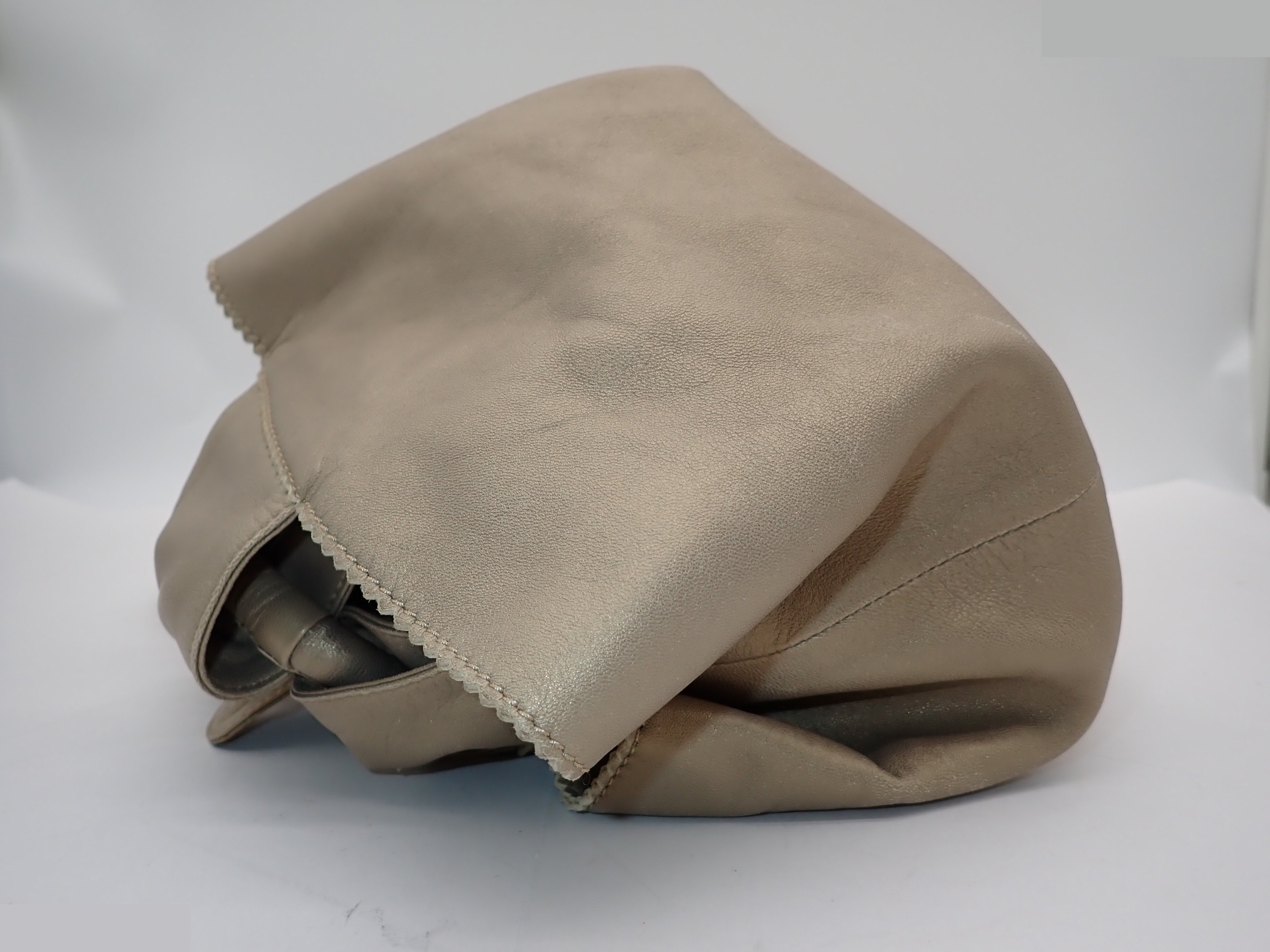 Ｄｕｍｐｌｉｎｇ Ｂａｇ — view 3