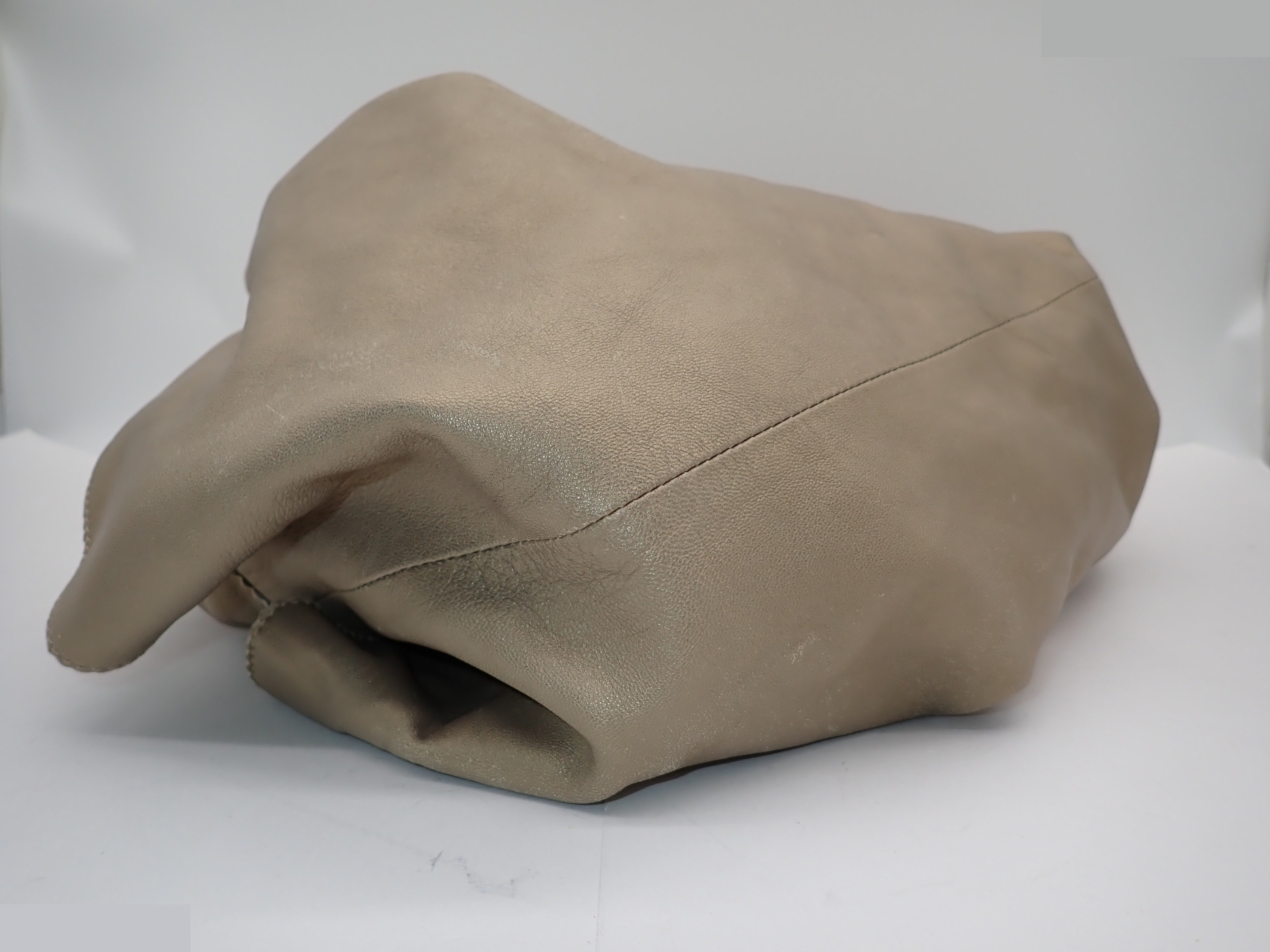 Ｄｕｍｐｌｉｎｇ Ｂａｇ — view 5