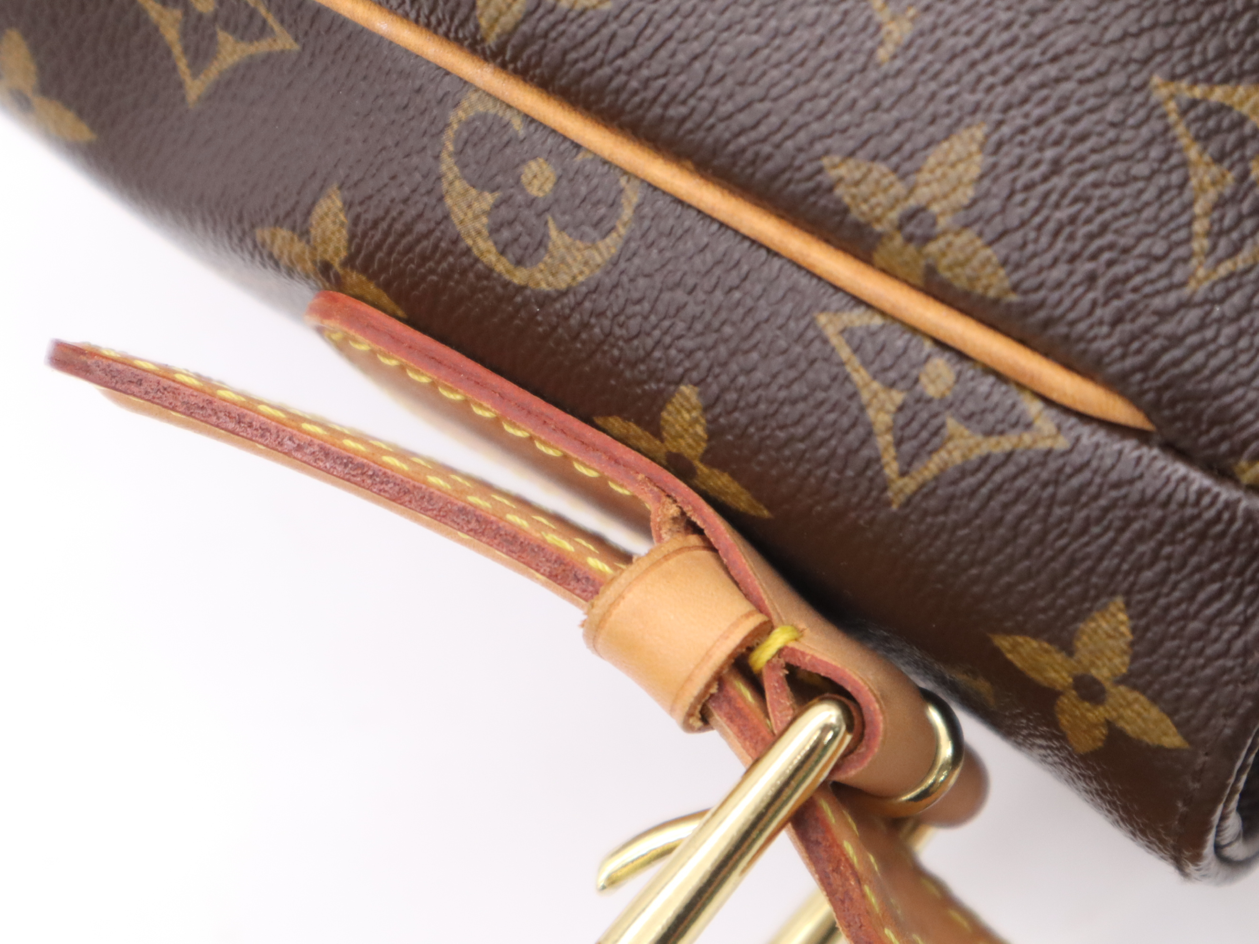 M51163 Monogram Viva Cite GM Shoulder Bag with Dust Bag — view 7