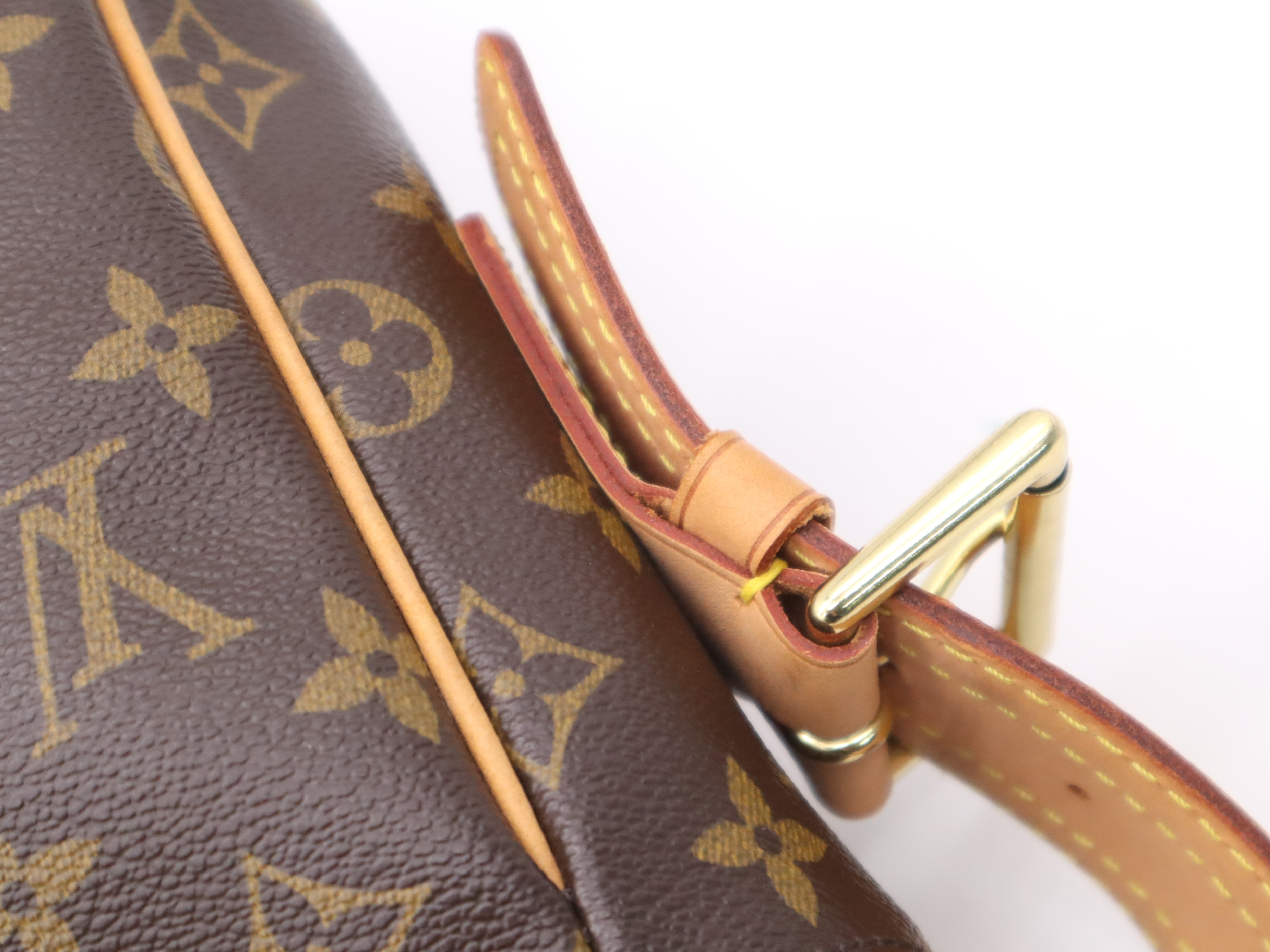 M51163 Monogram Viva Cite GM Shoulder Bag with Dust Bag — view 8