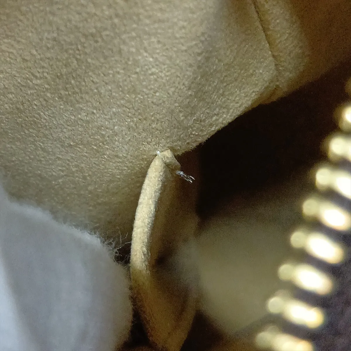 Monogram Looping MM M51146 FL0061 Brown — view 13