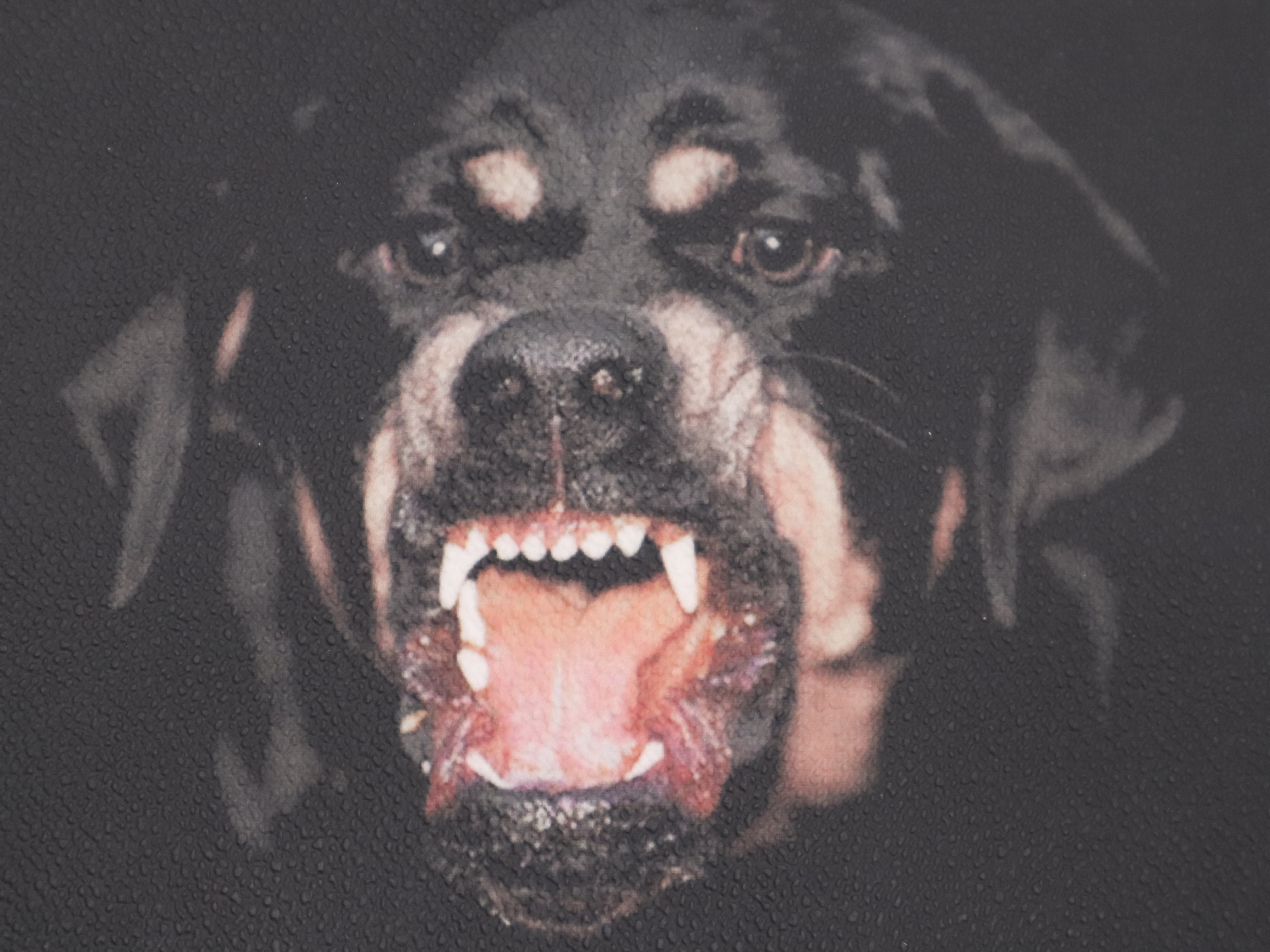 ROTTWEILER BK06072337 Clutch Bag — view 10