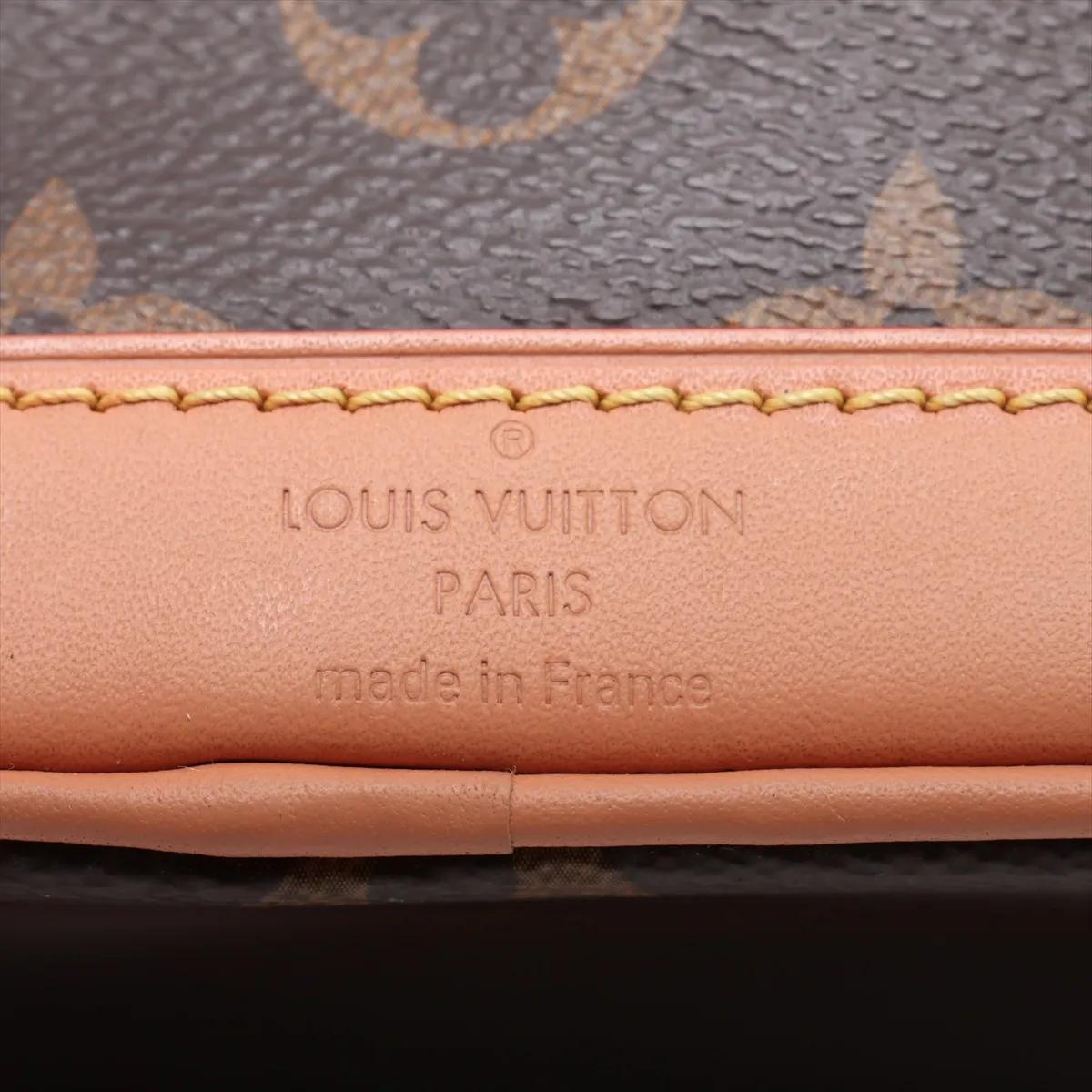 Monogram Nano Noe M81266 Brown (RFID detected) — view 9