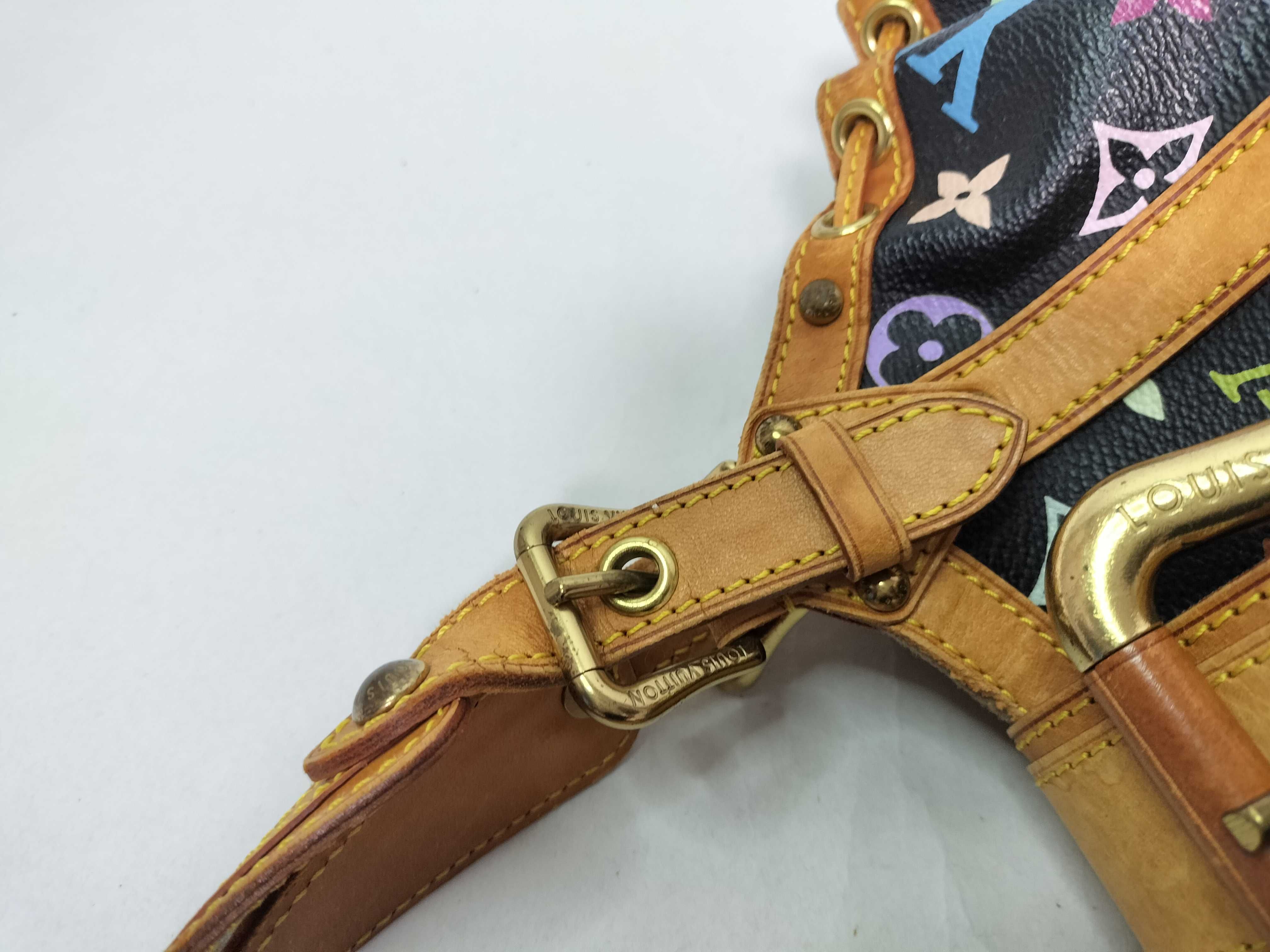 Monogram Multicolor Louis Vuitton Monogram Multi Teda PM Takashi Murakami Handbag — view 9