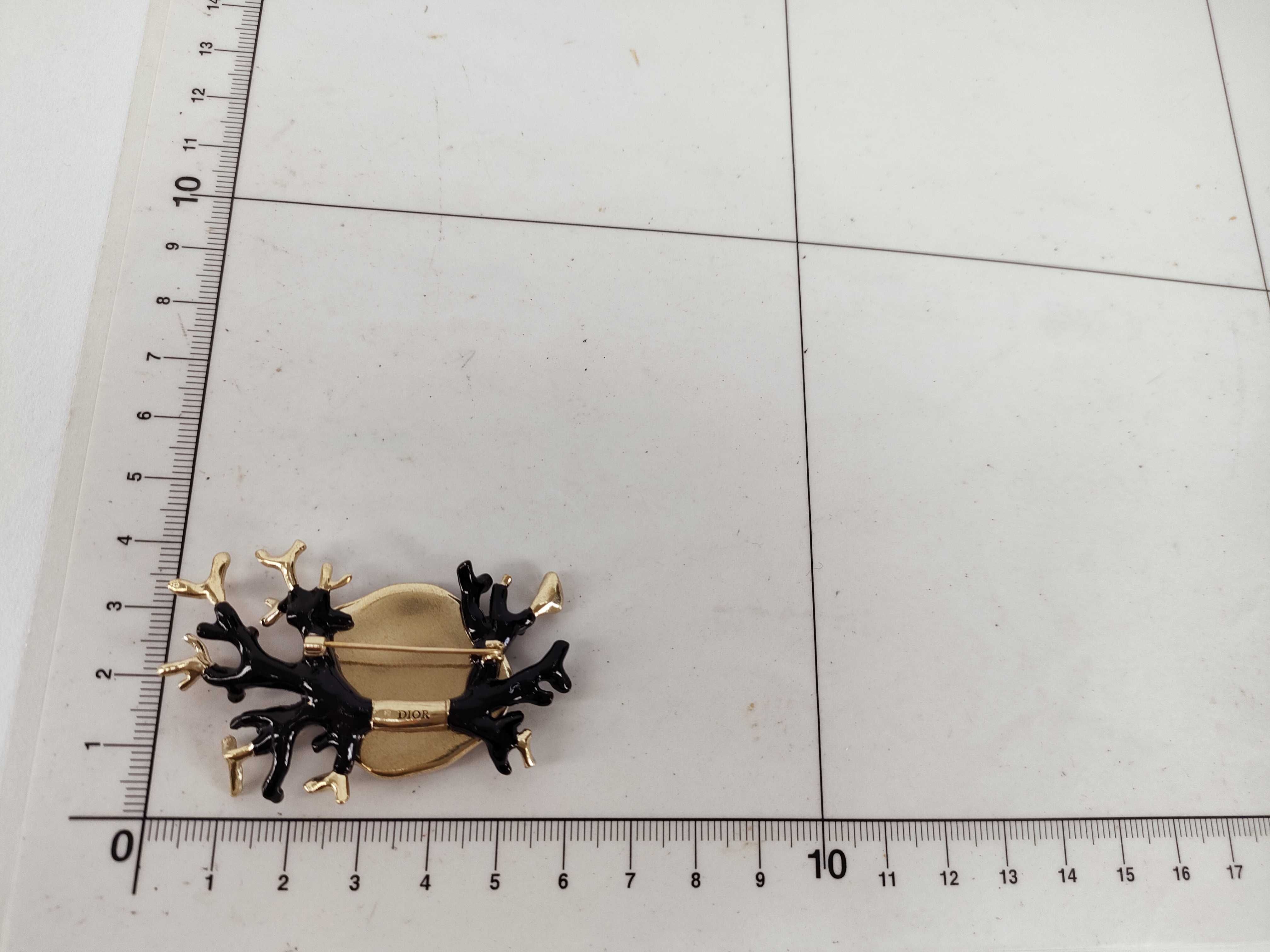 Coral Brooch — view 10