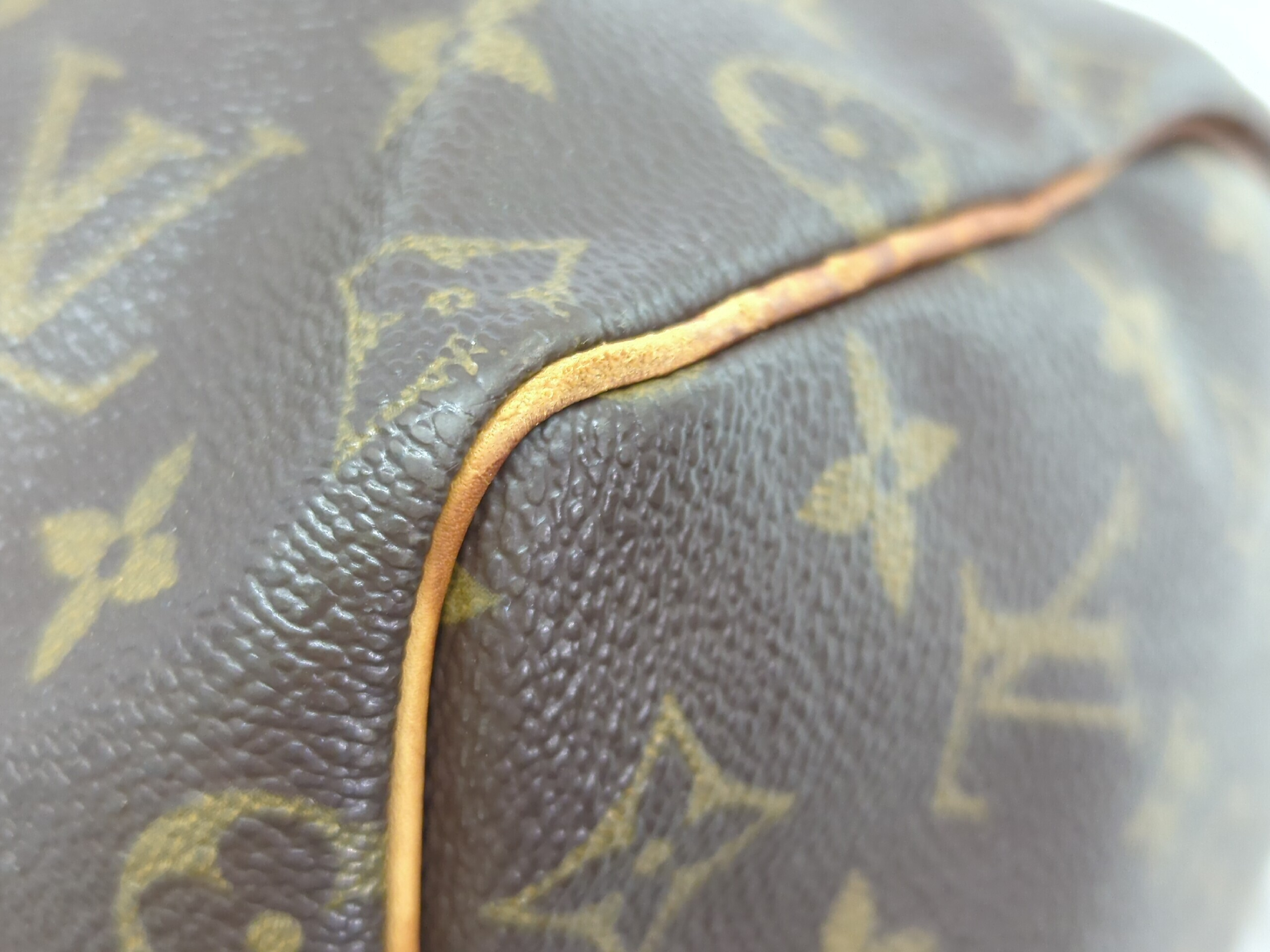 M41528 Monogram Speedy 25 Handbag — view 3
