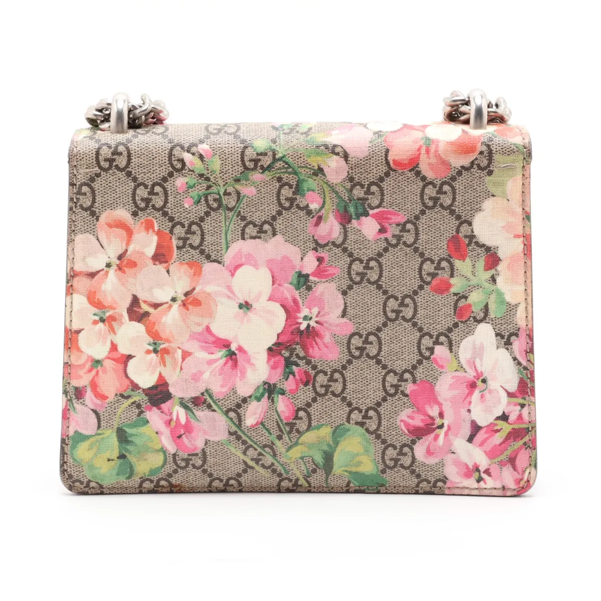 GG Blooms Dionysus PVC x Suede Chain Shoulder Bag Beige x Red 421970 — view 2