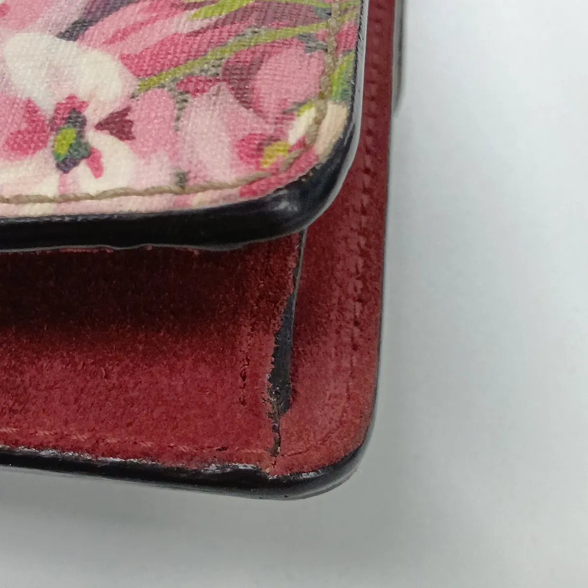 GG Blooms Dionysus PVC x Suede Chain Shoulder Bag Beige x Red 421970 — view 15