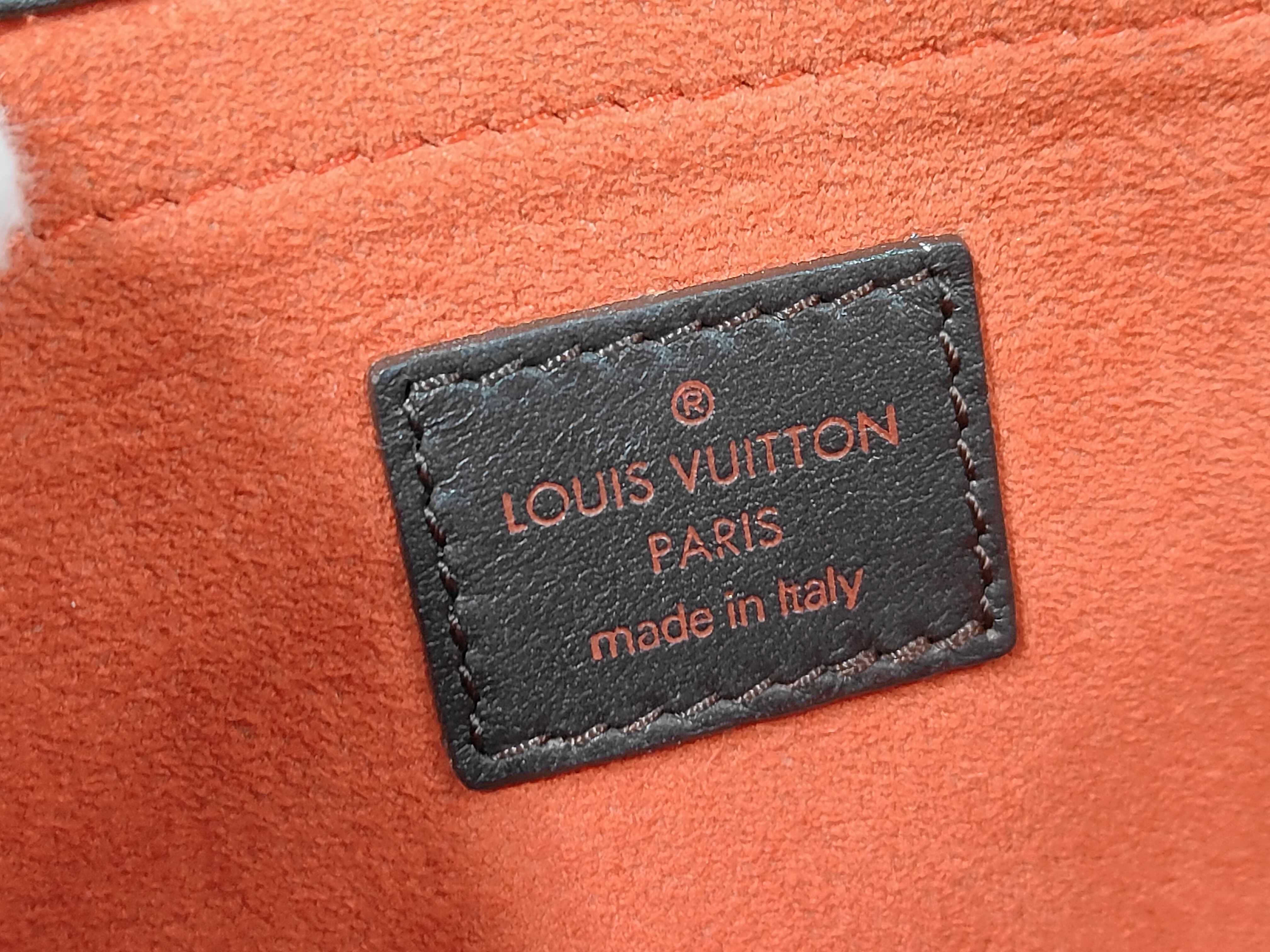 Damier Sauvage Lion Handbag — view 10