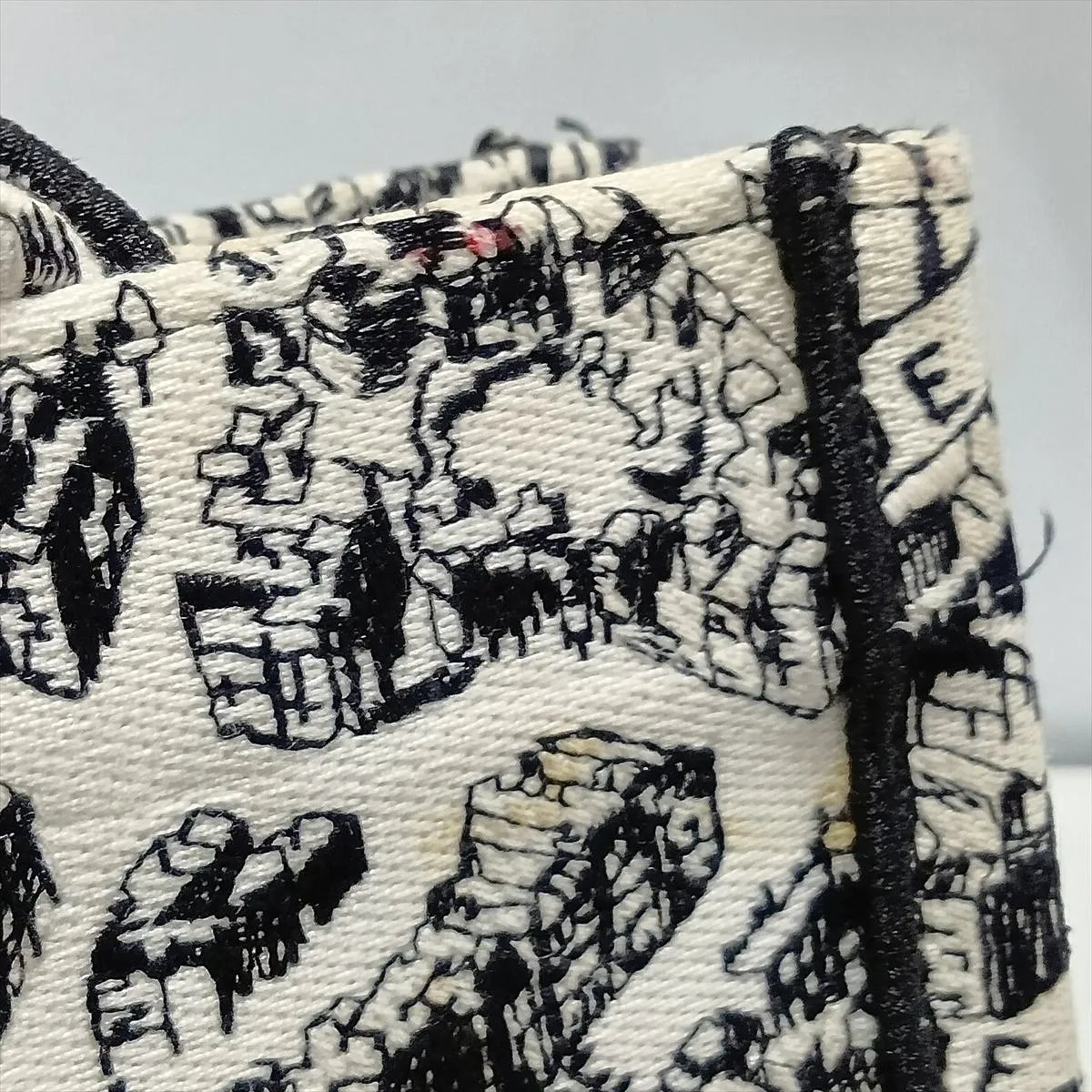 Plan de Paris Book Tote Small Canvas Tote Bag White x Black — view 11