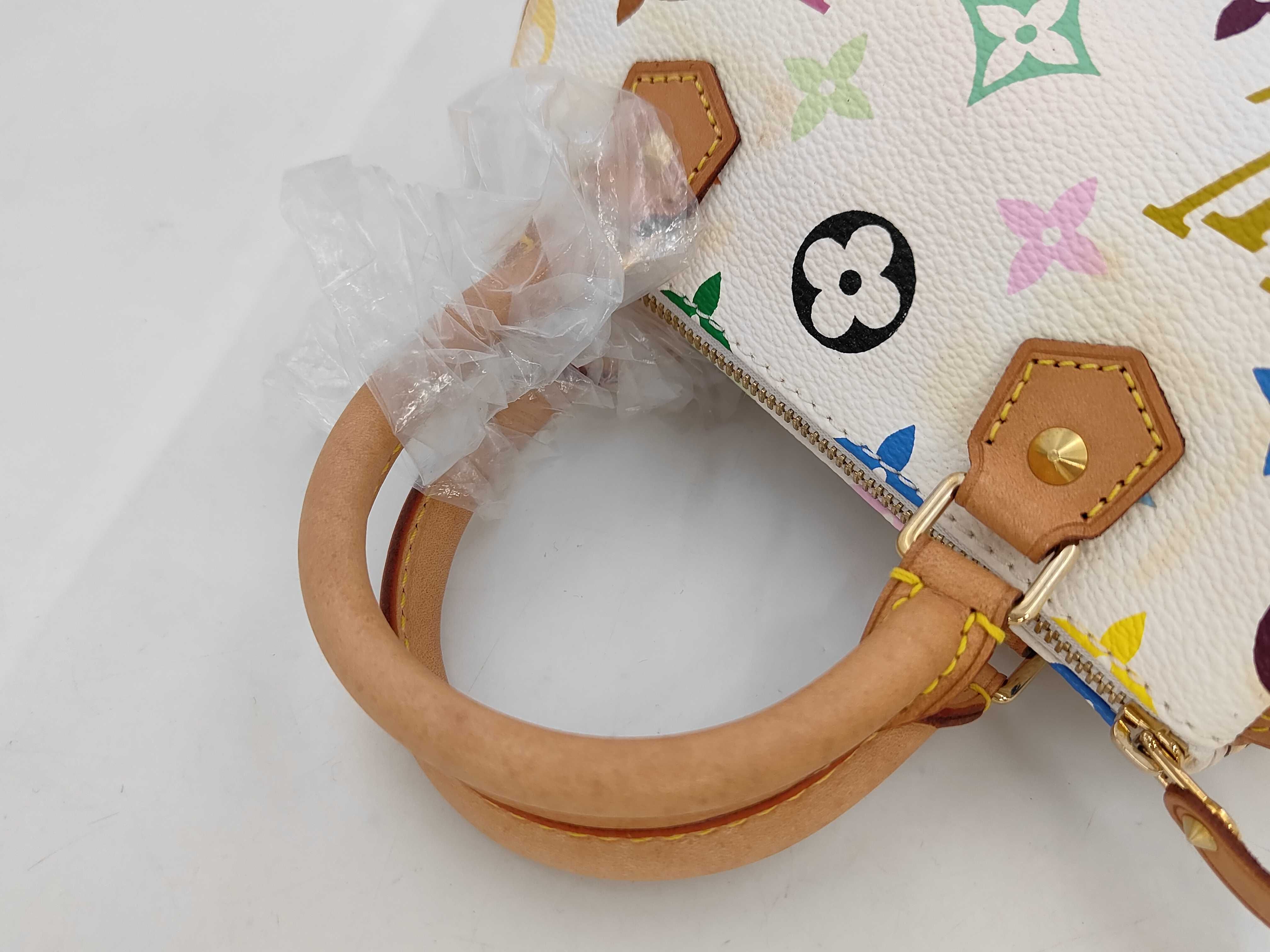 Mini Speedy Multicolor Handbag — view 5
