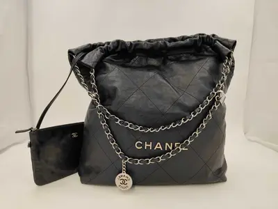 22 Bag