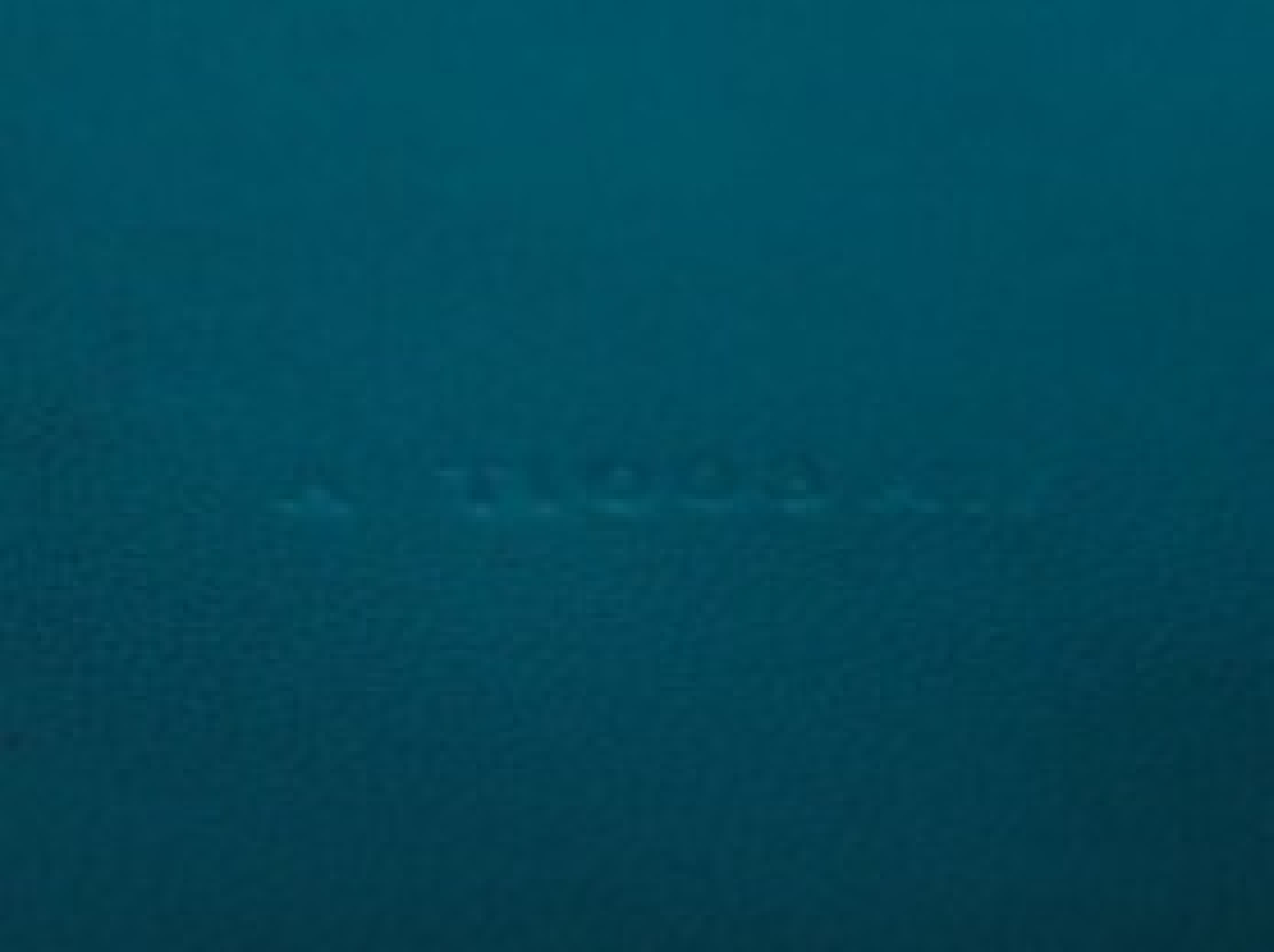 2017 Dogon Long Green Bi-fold Wallet — view 12
