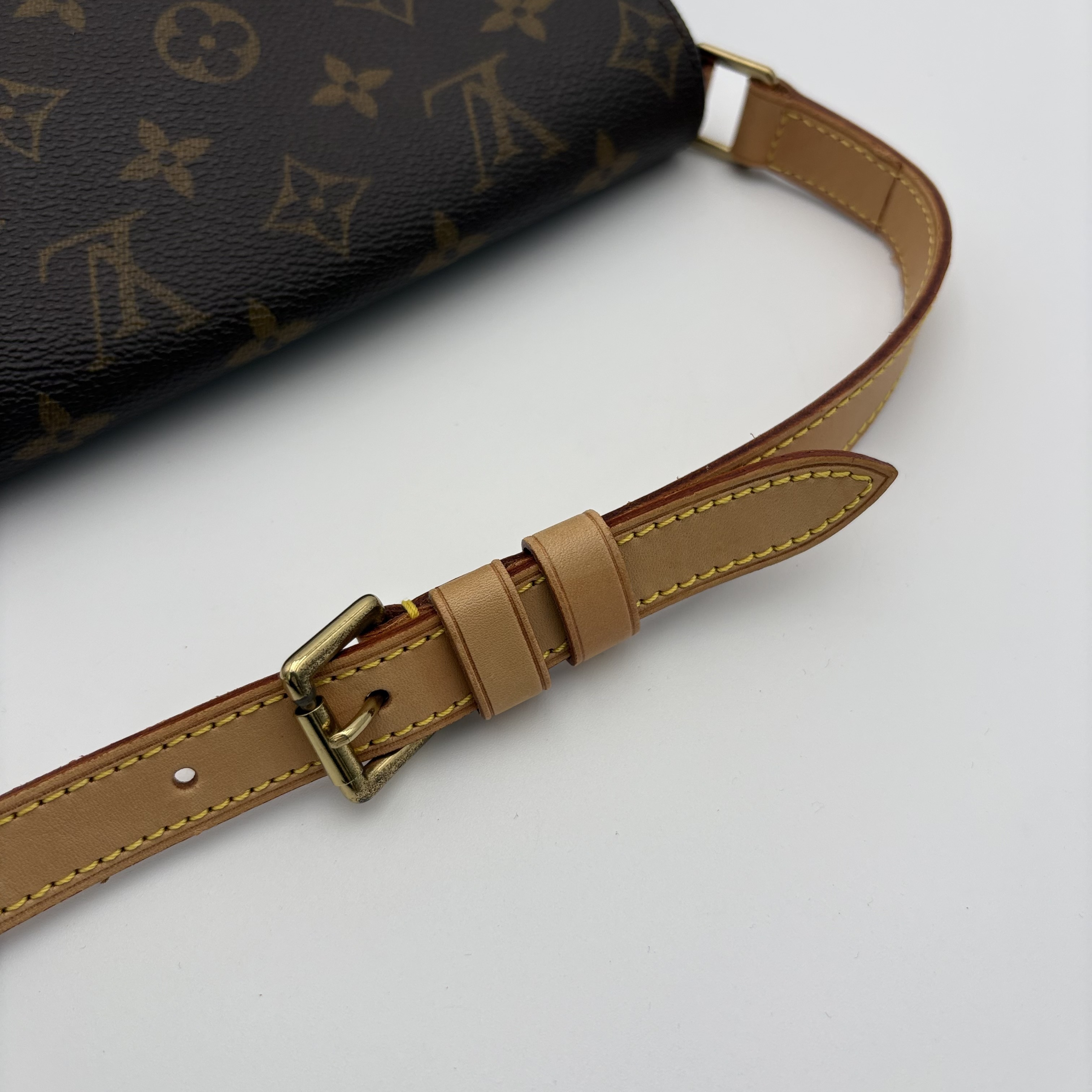Monogram Musette Salsa Shoulder Bag — view 8