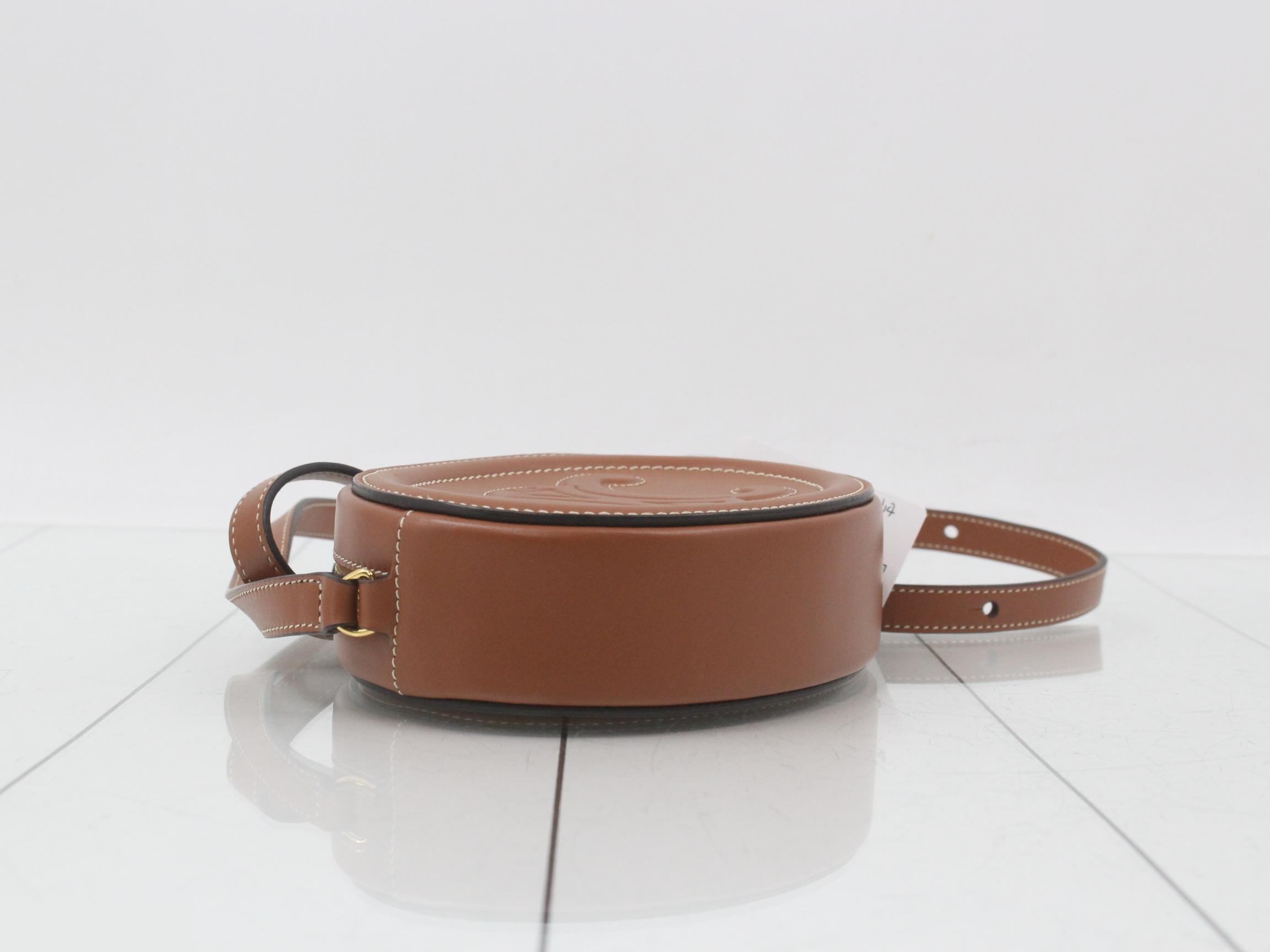 10I703 Oval Purse Cuile Triomphe Shoulder Bag — view 5