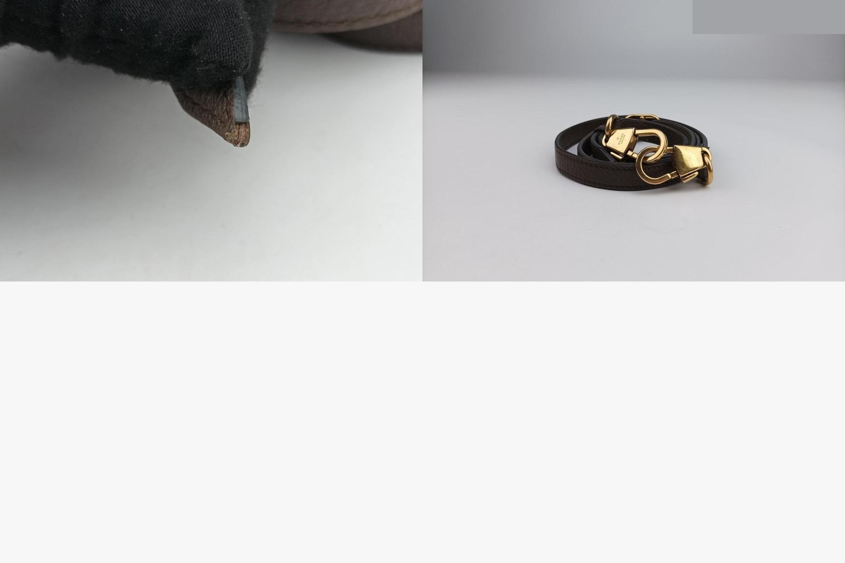 Diana Jumbo GG Mini Canvas x Leather Brown — view 12
