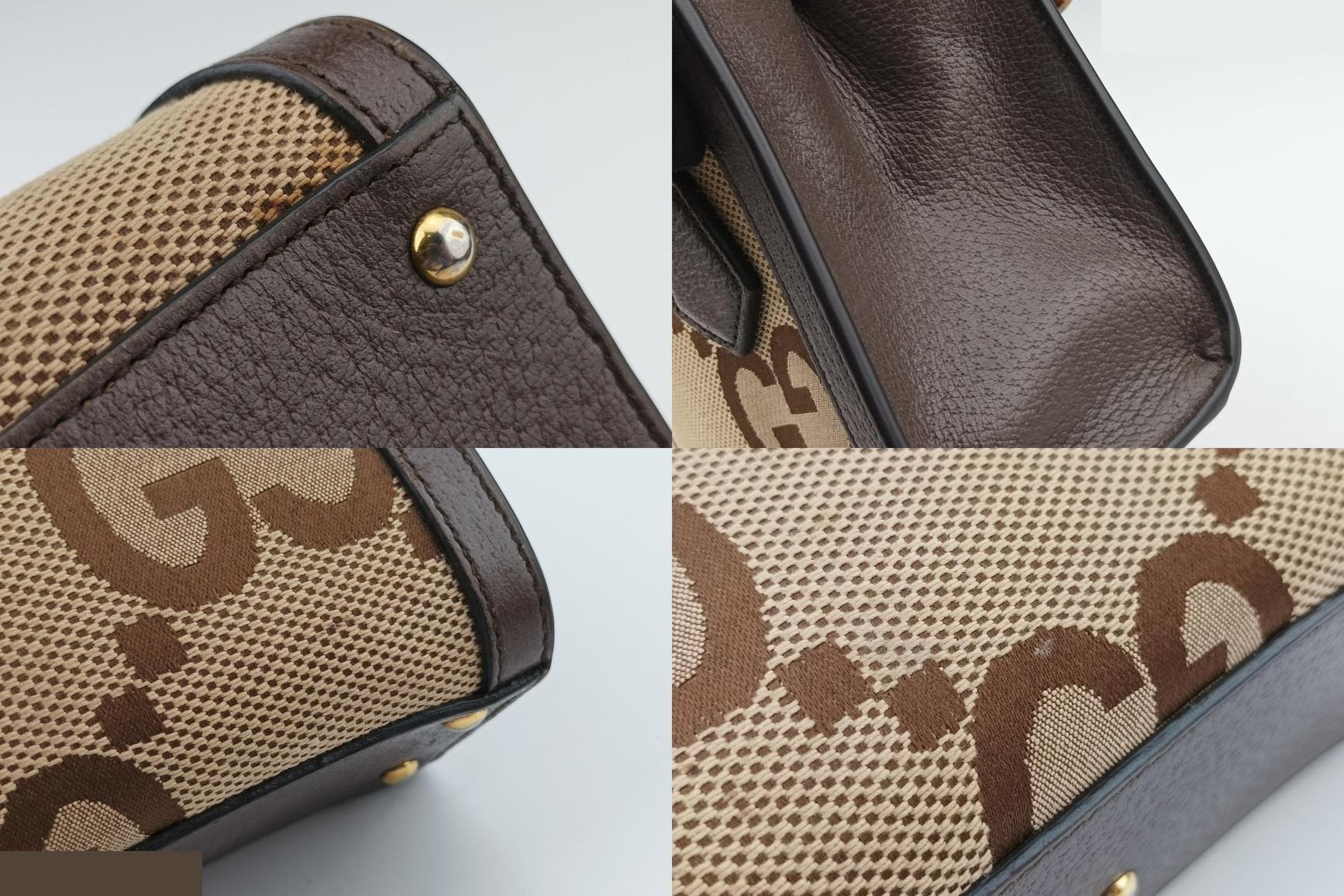 Diana Jumbo GG Mini Canvas x Leather Brown — view 10