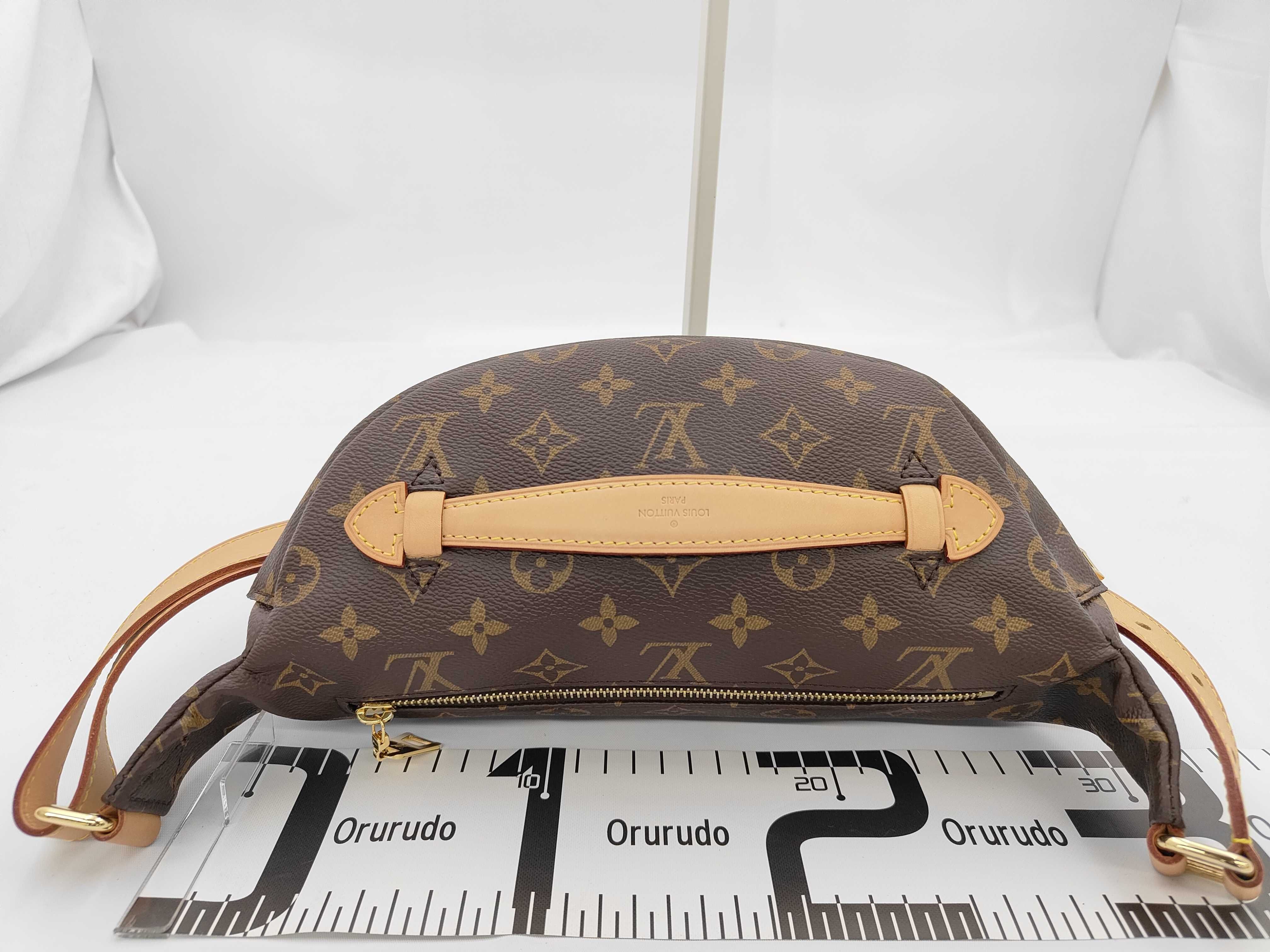 LV Monogram Bum Bag — view 2