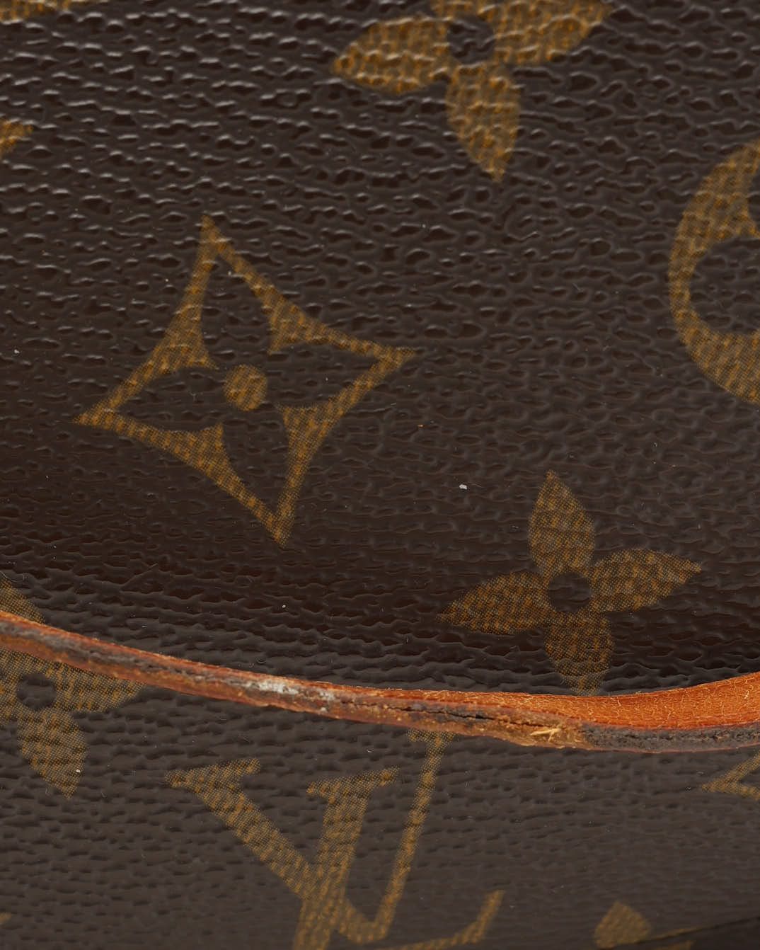 Pochette Accessoires, Monogram — view 9