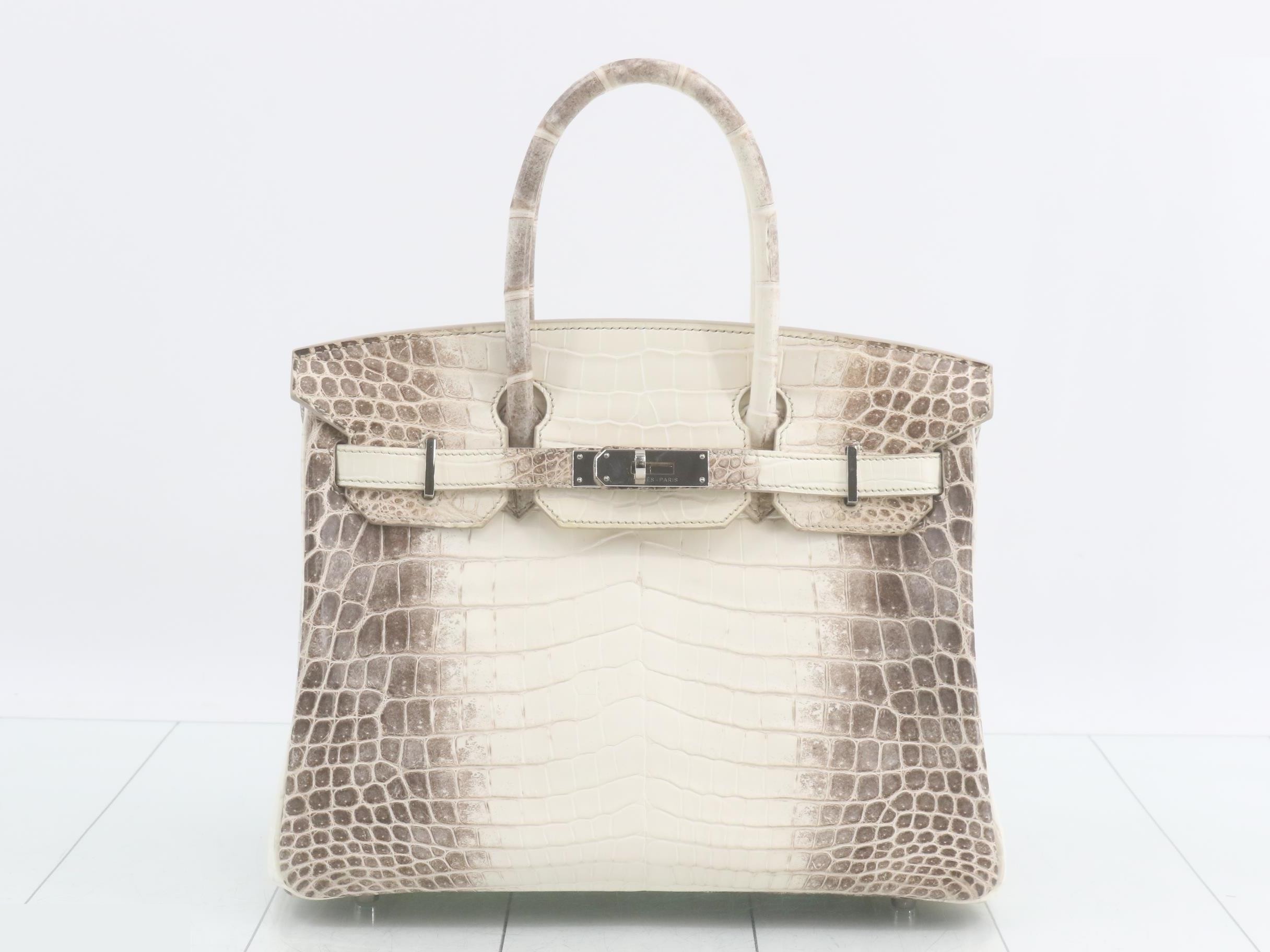 Birkin (bag) / handbag