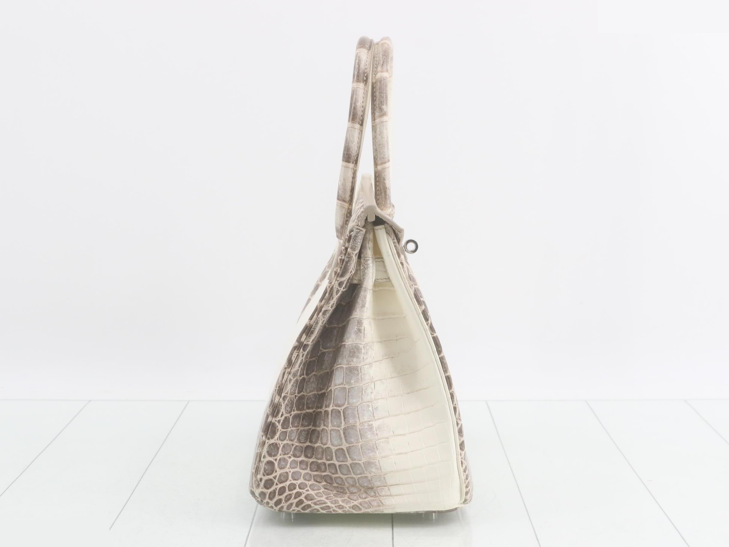 Birkin (bag) / handbag — view 5