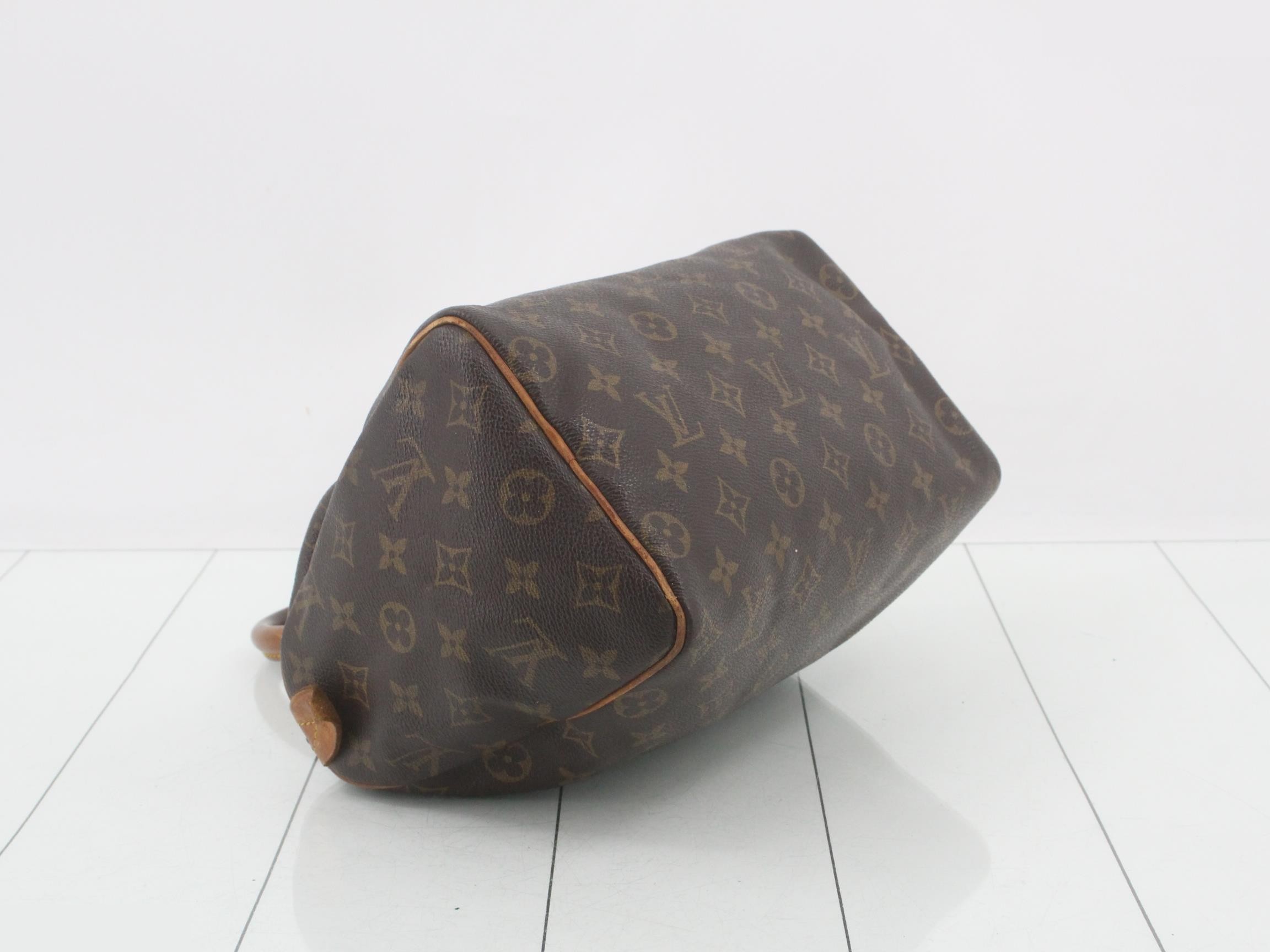 Monogram Speedy 25 Handbag — view 5