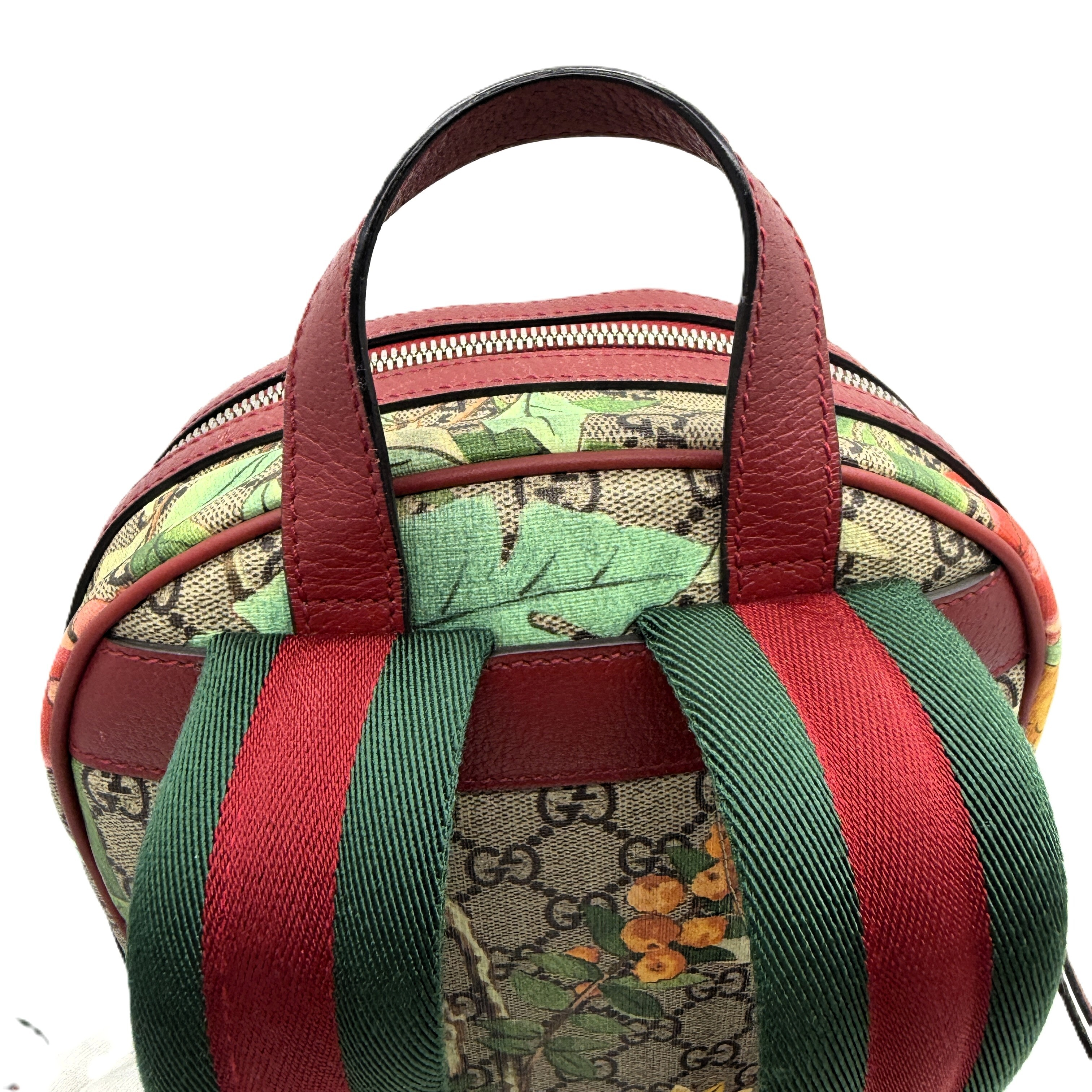GG Supreme Backpack — view 7