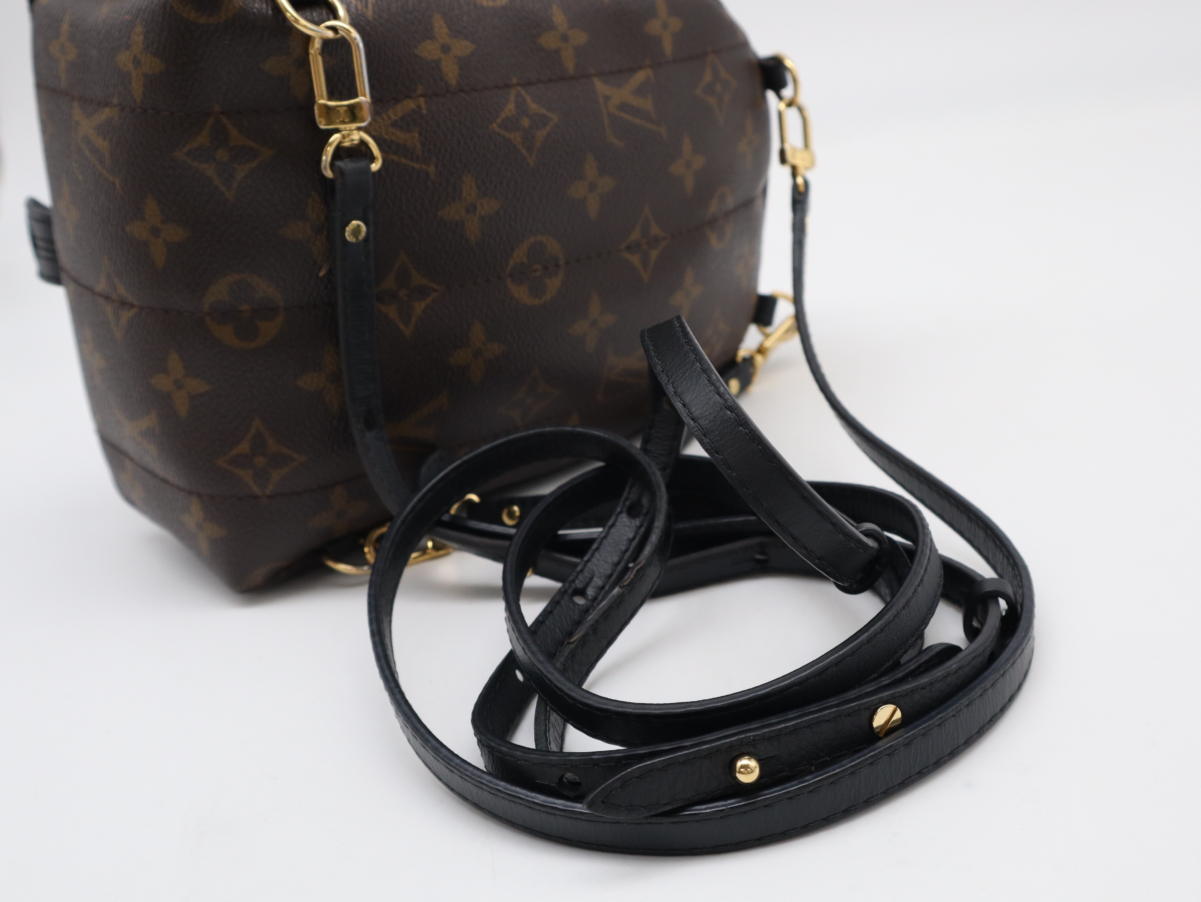 M44873 Monogram Palm Springs MINI Backpack — view 6