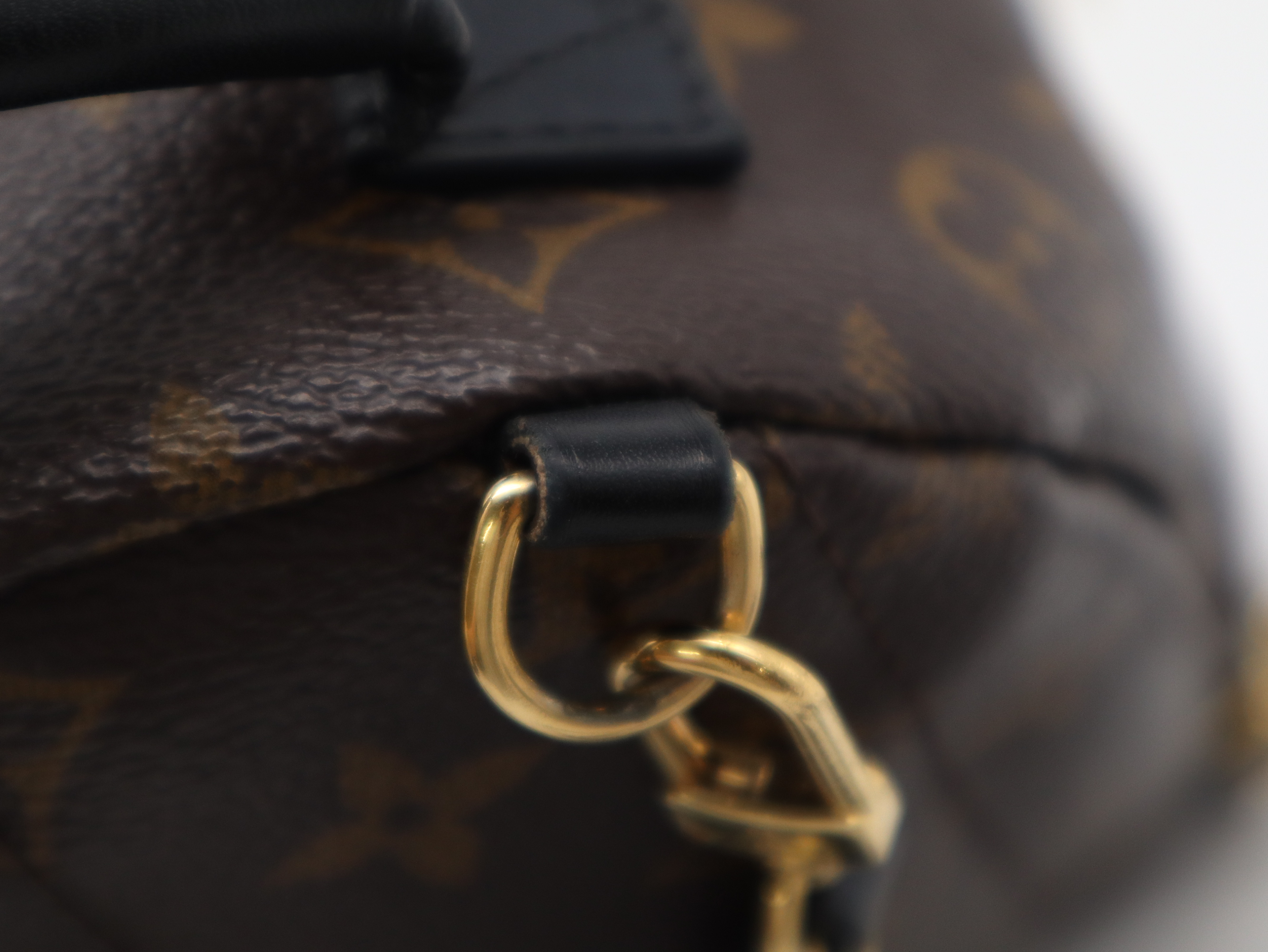 M44873 Monogram Palm Springs MINI Backpack — view 8
