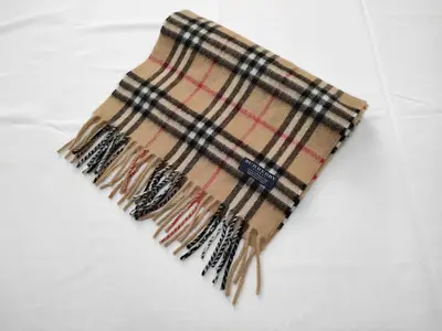 Scarf and other accessories