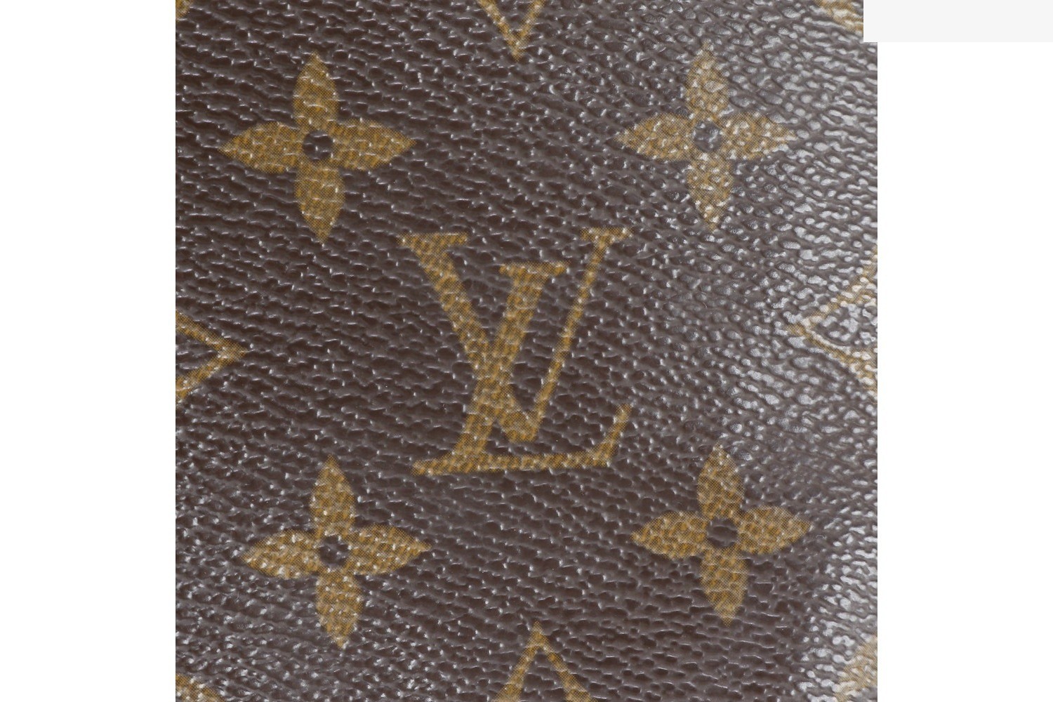 Monogram Partition M51901 Leather Pouch — view 9