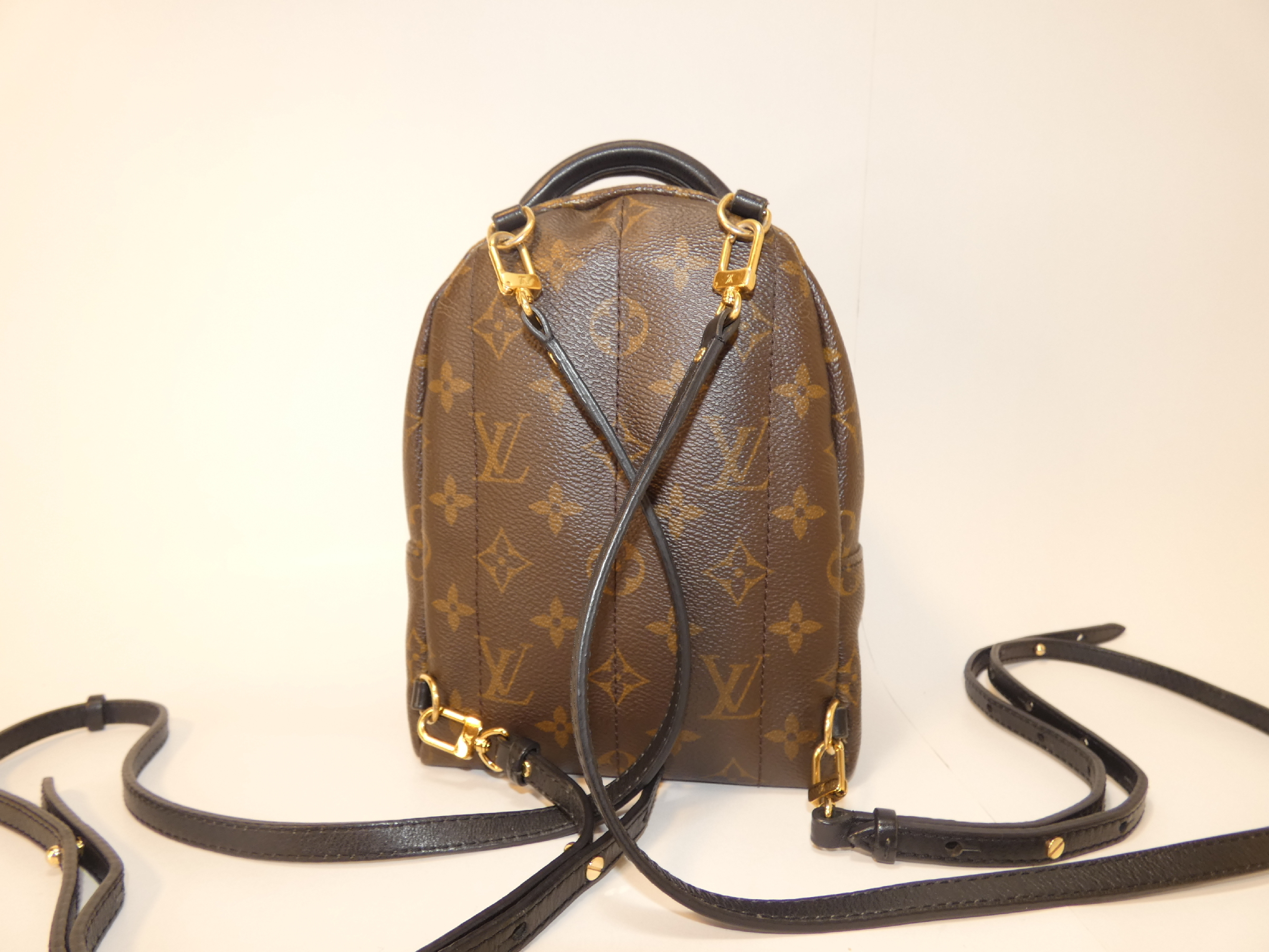 Palm Springs Monogram Backpack — view 2