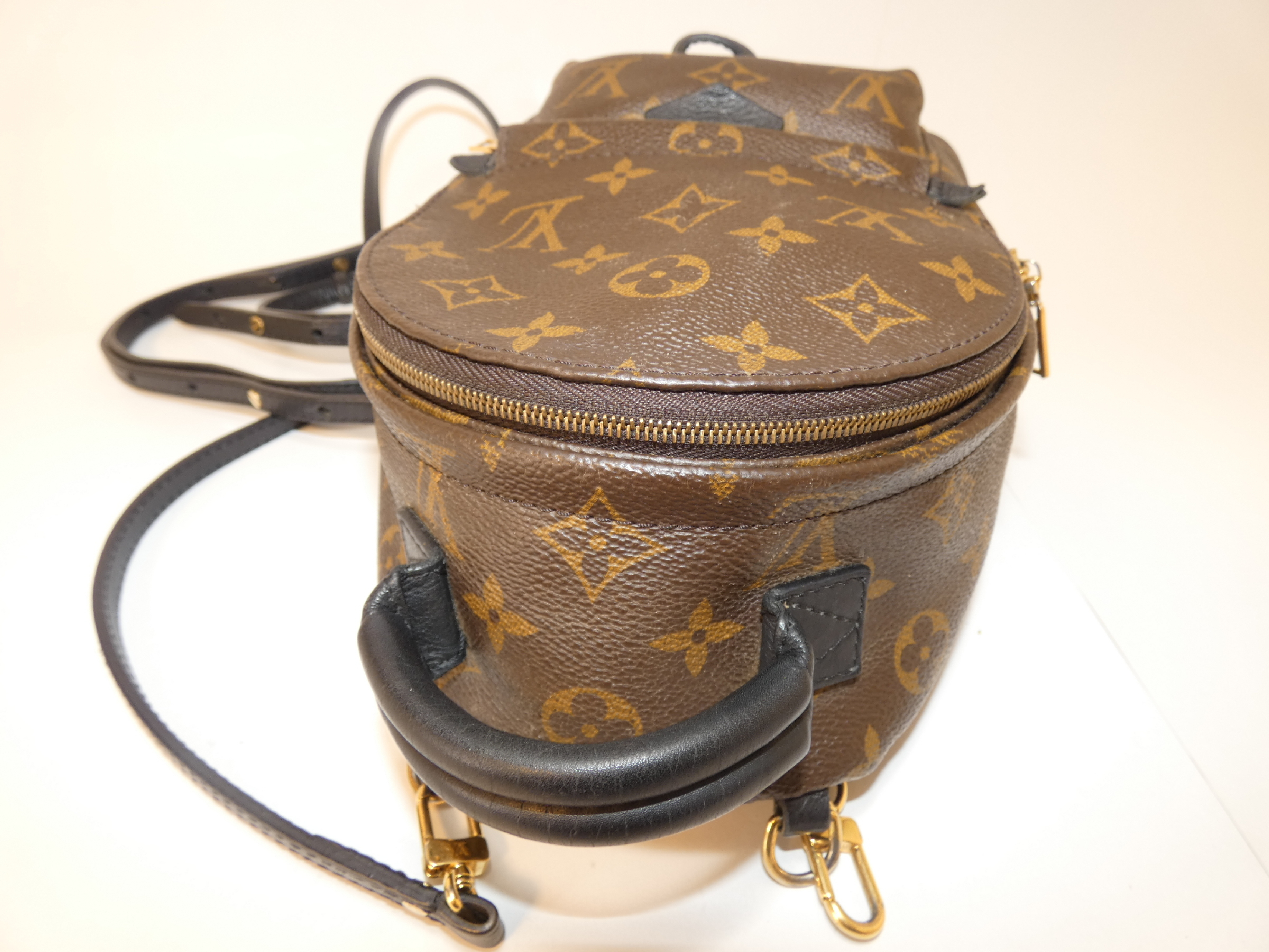 Palm Springs Monogram Backpack — view 3